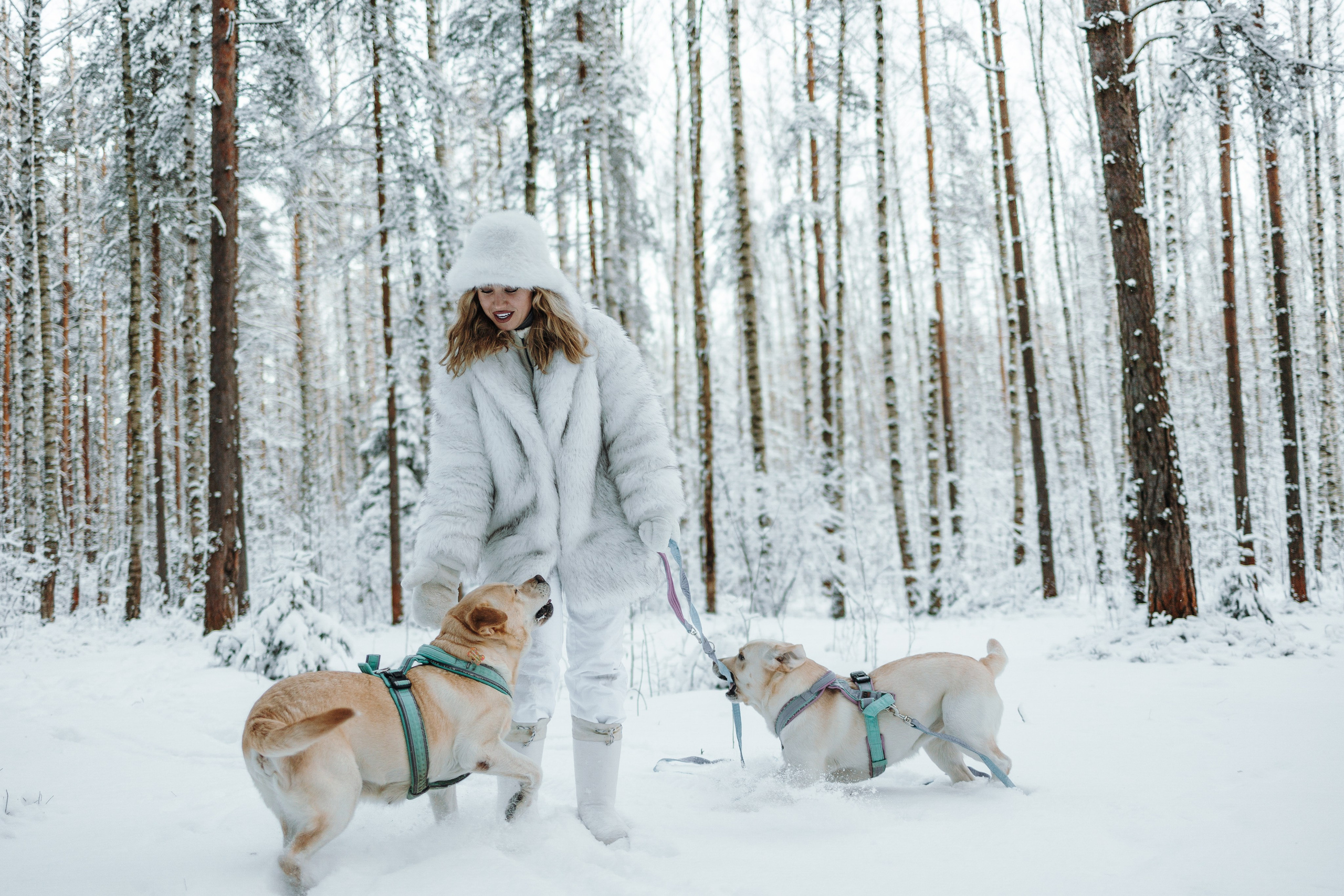 Ребята и их хвостатая семейка. Фотограф — Анималист | Санкт-Петербург