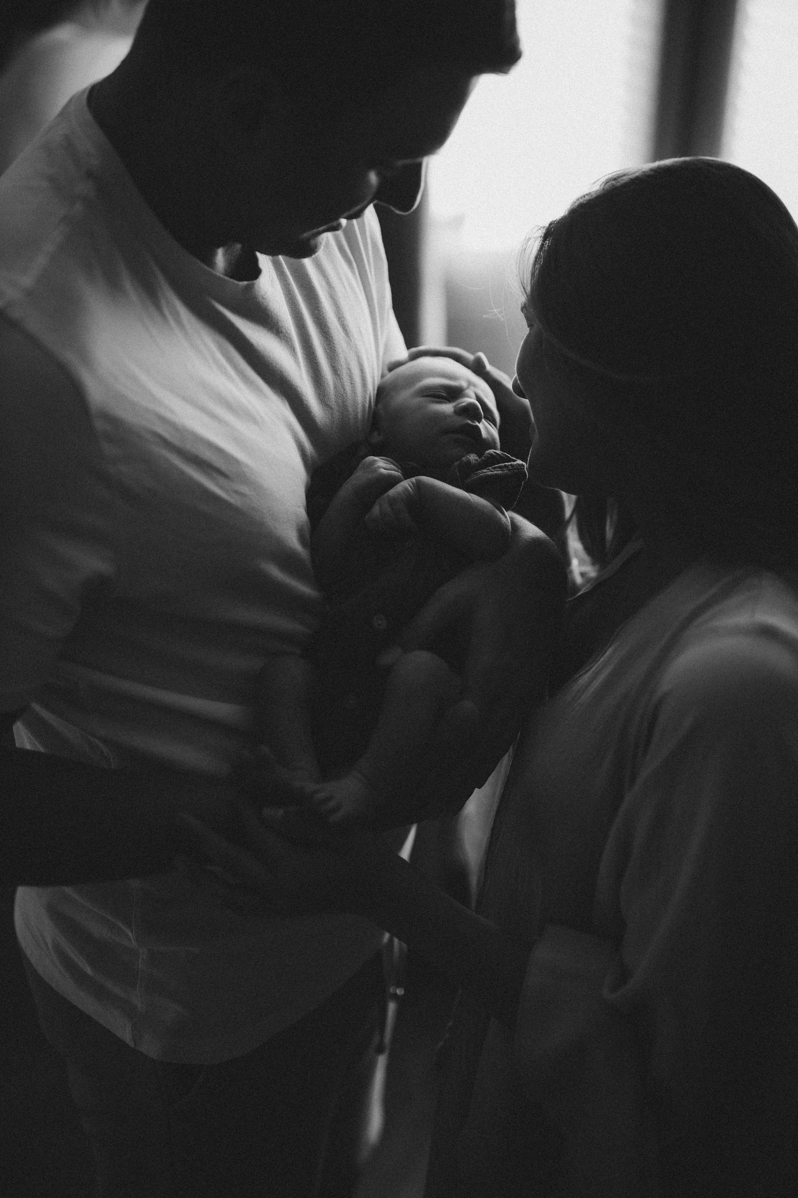 Платон. Евгения Пелипас