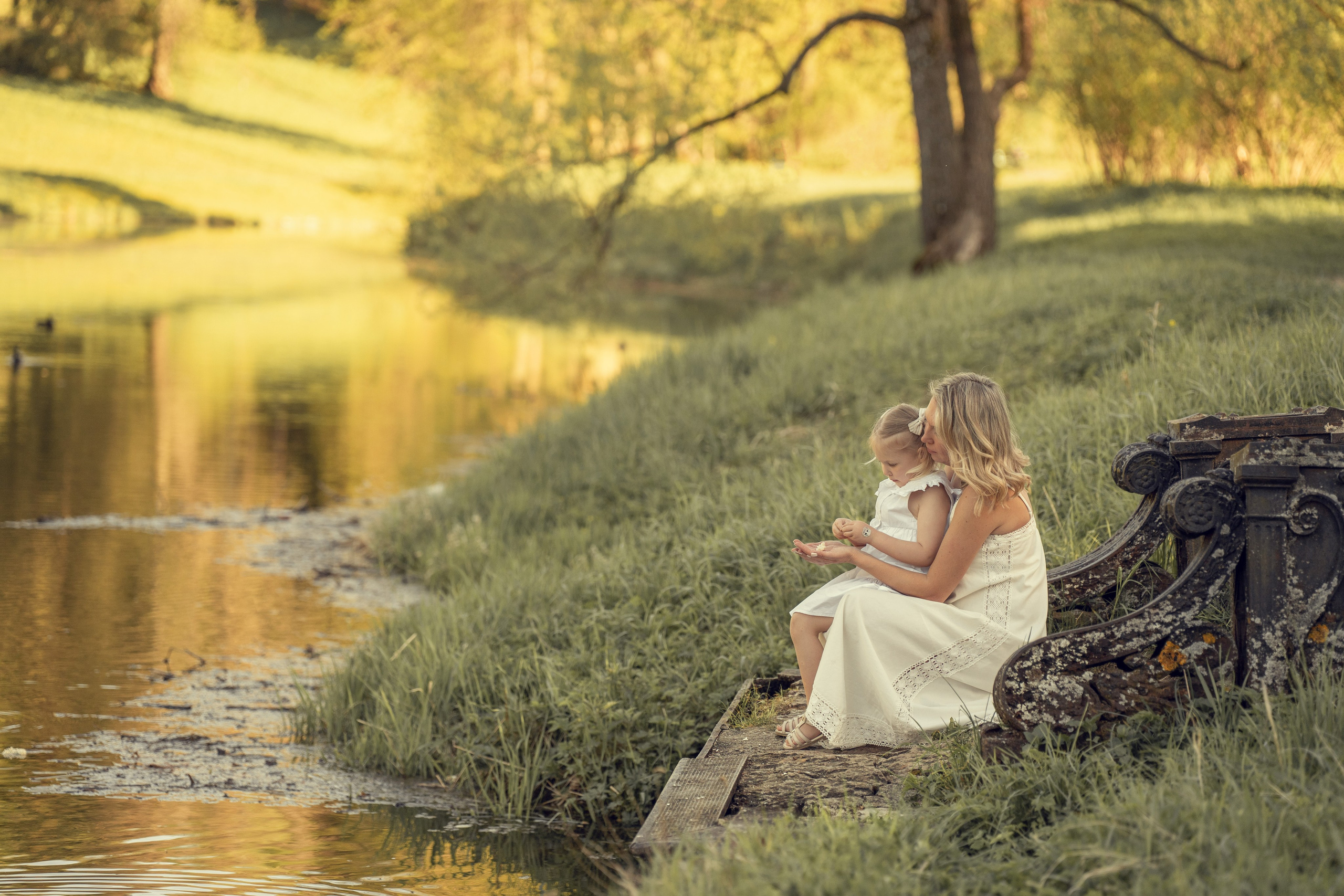 Фотопрогулка в Павловском парке