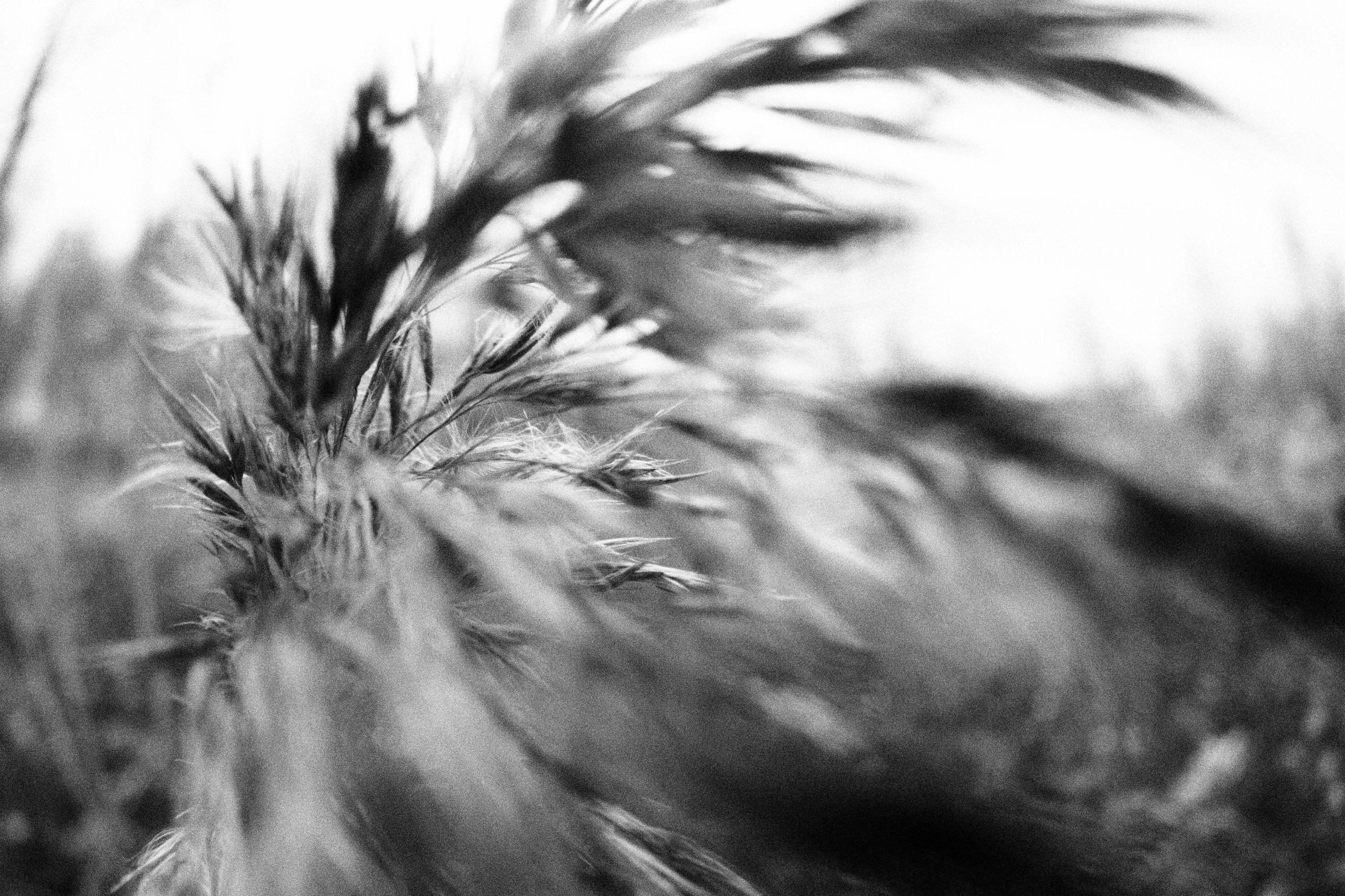 Внутривенные сны (2018-2023)