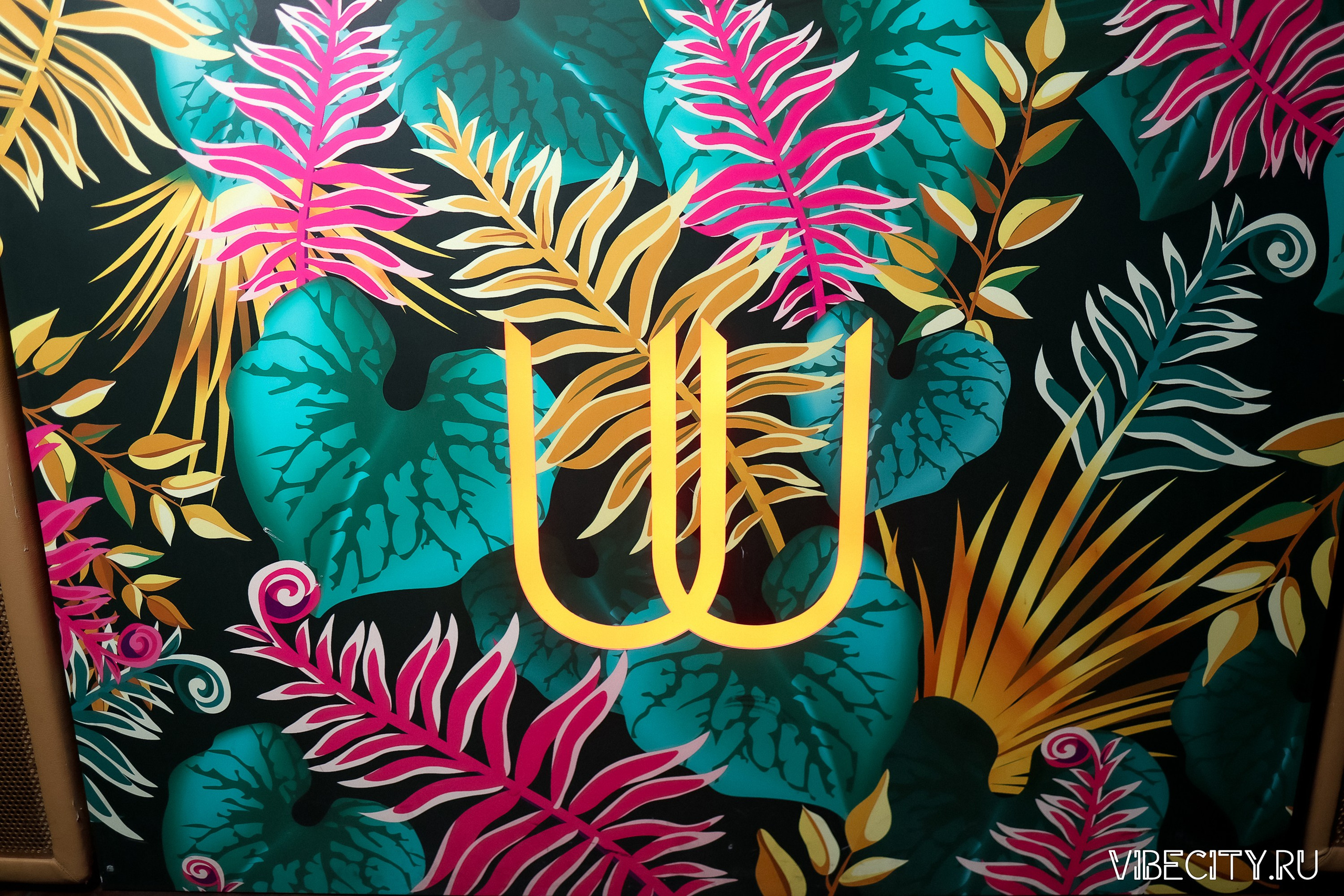 DOUBLE U. VIBECITY.RU Вайб Сити Ру Фоторепортажи Фотоотчеты Калининград