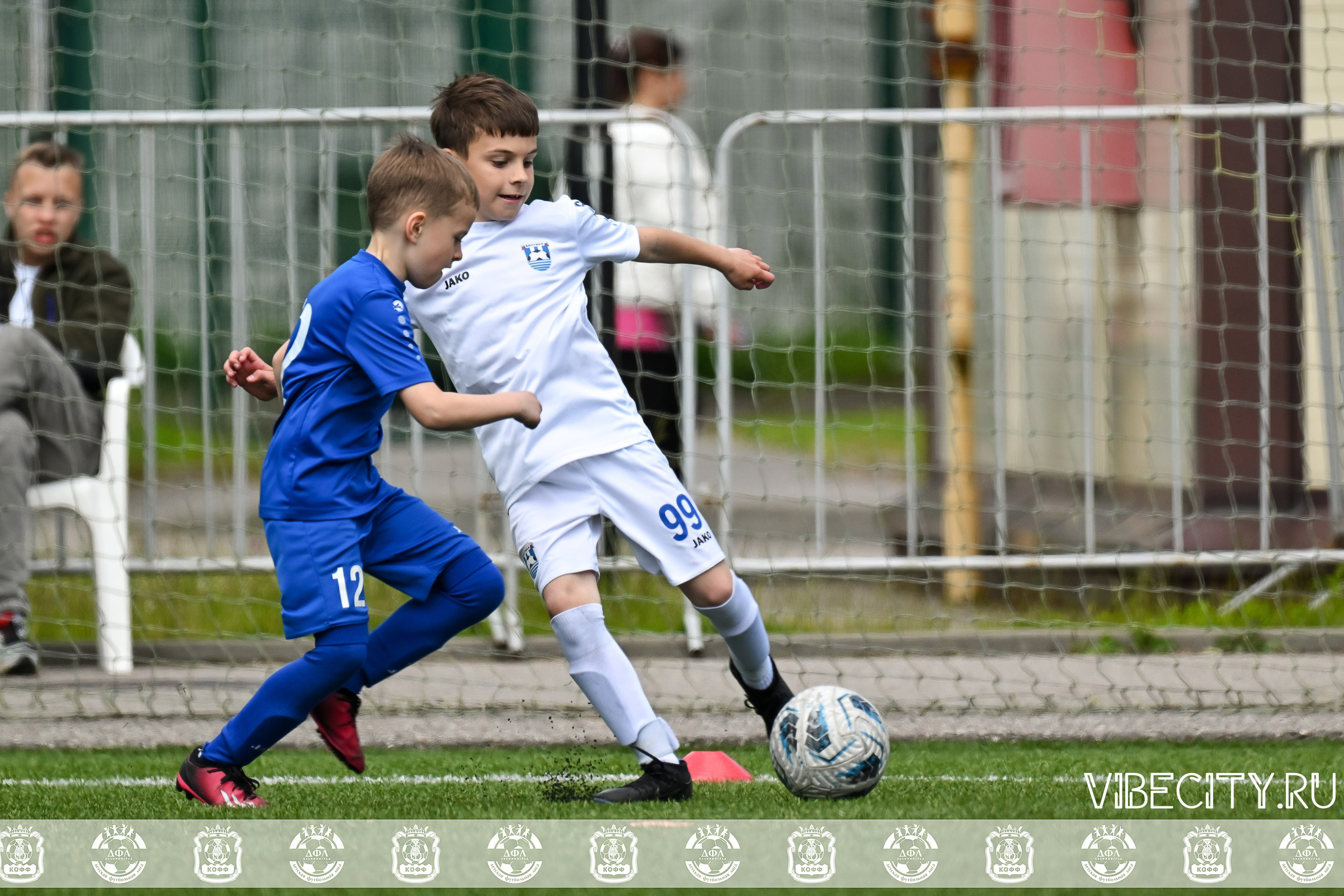 Большие Звезды светят Малым. VIBECITY.RU Вайб Сити Ру Фоторепортажи Фотоотчеты Калининград