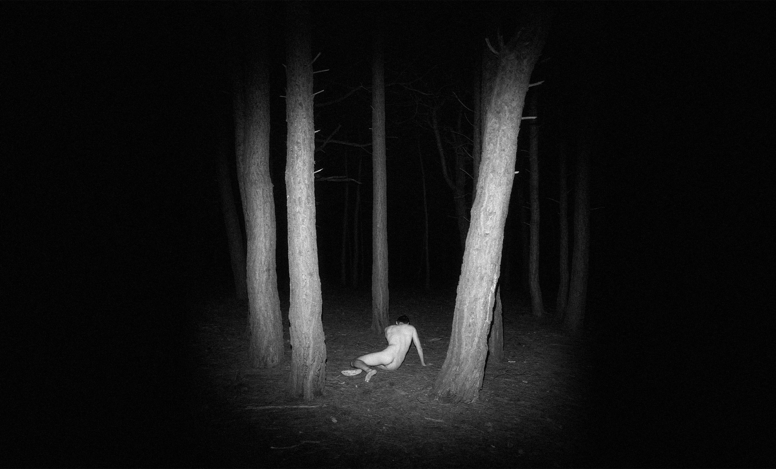 NATURAE NEXUM. Salien Adare