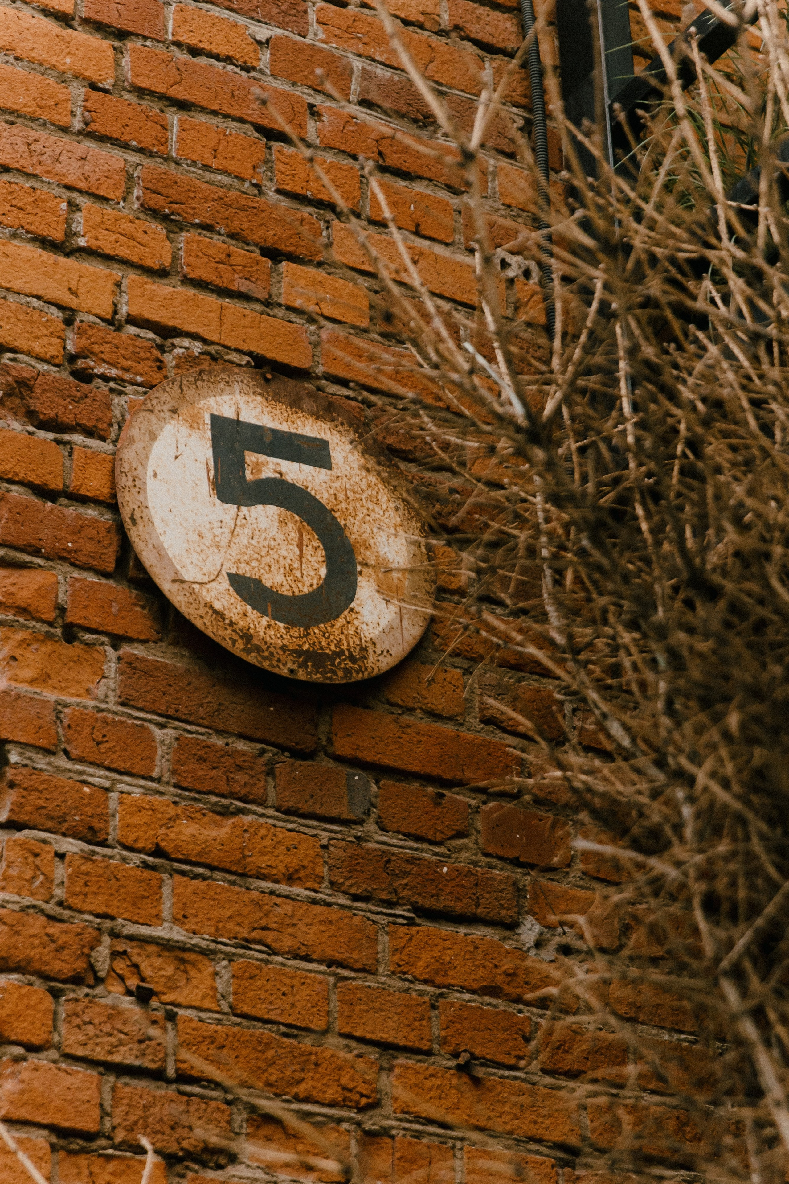 Конференция. LEVORIGINAL