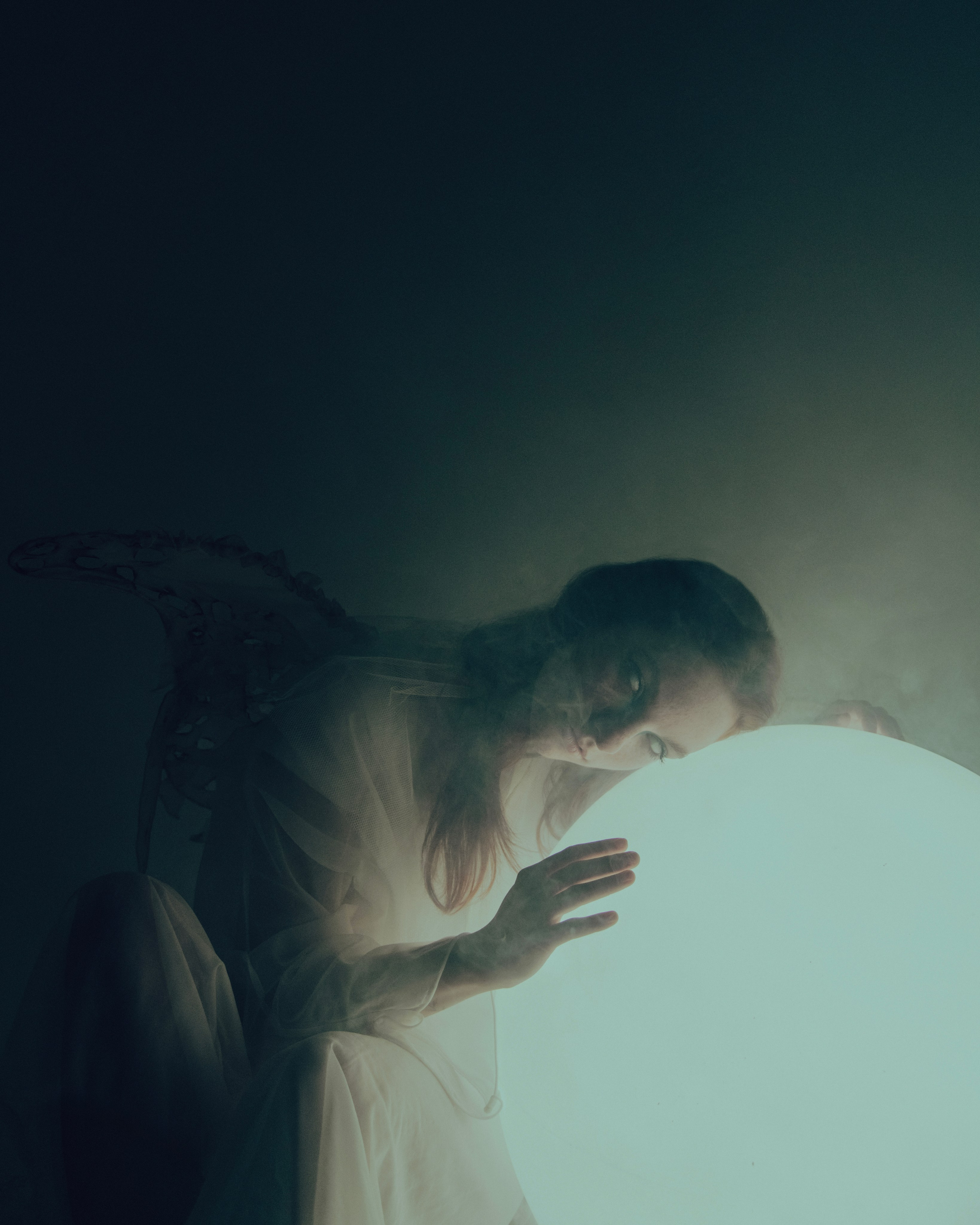 Мотылек. Фотограф Anita Mivchas