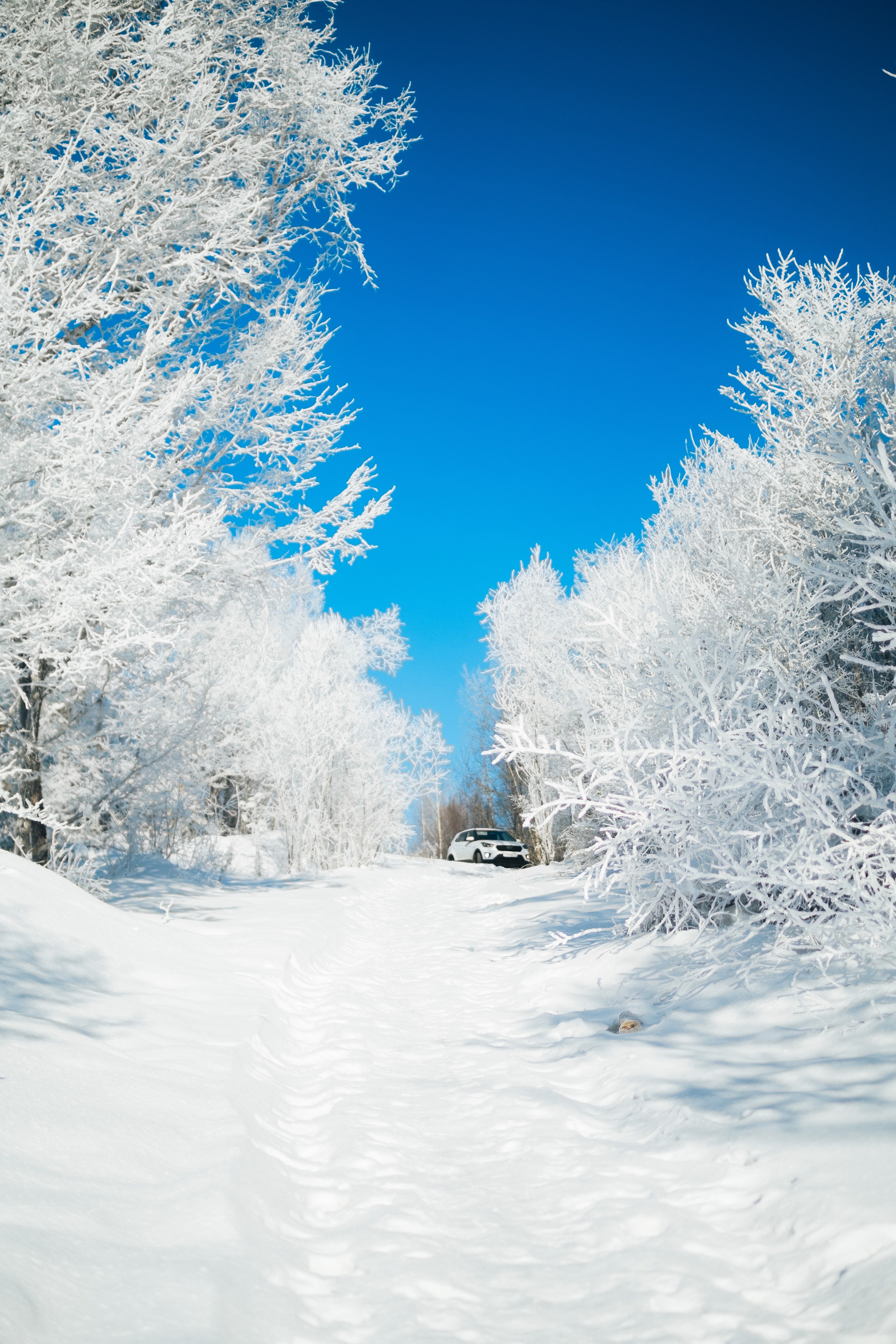 Курактачи. Фотограф Благовещенска Яна