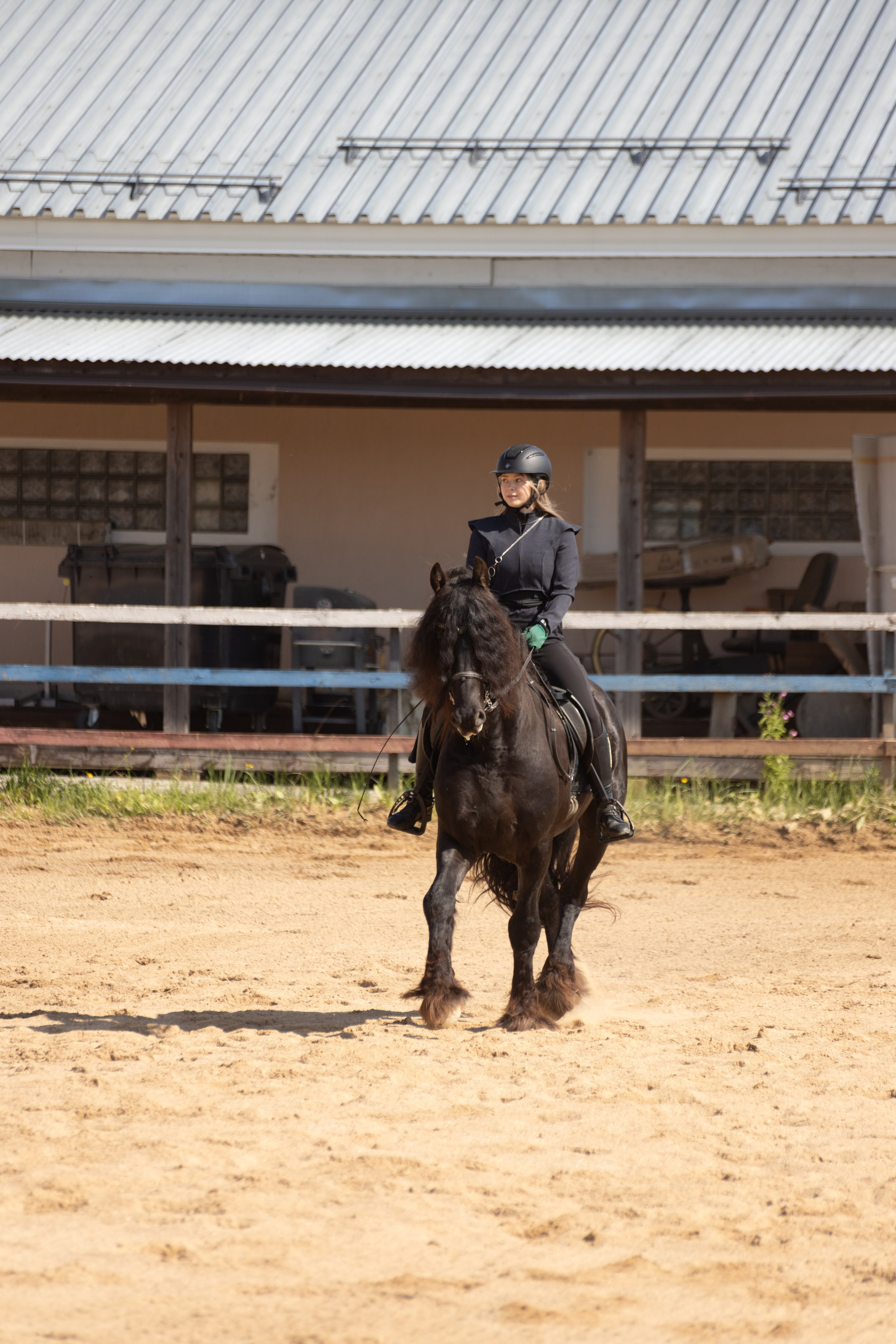 Конюшня. Фотограф в Москве и Истре