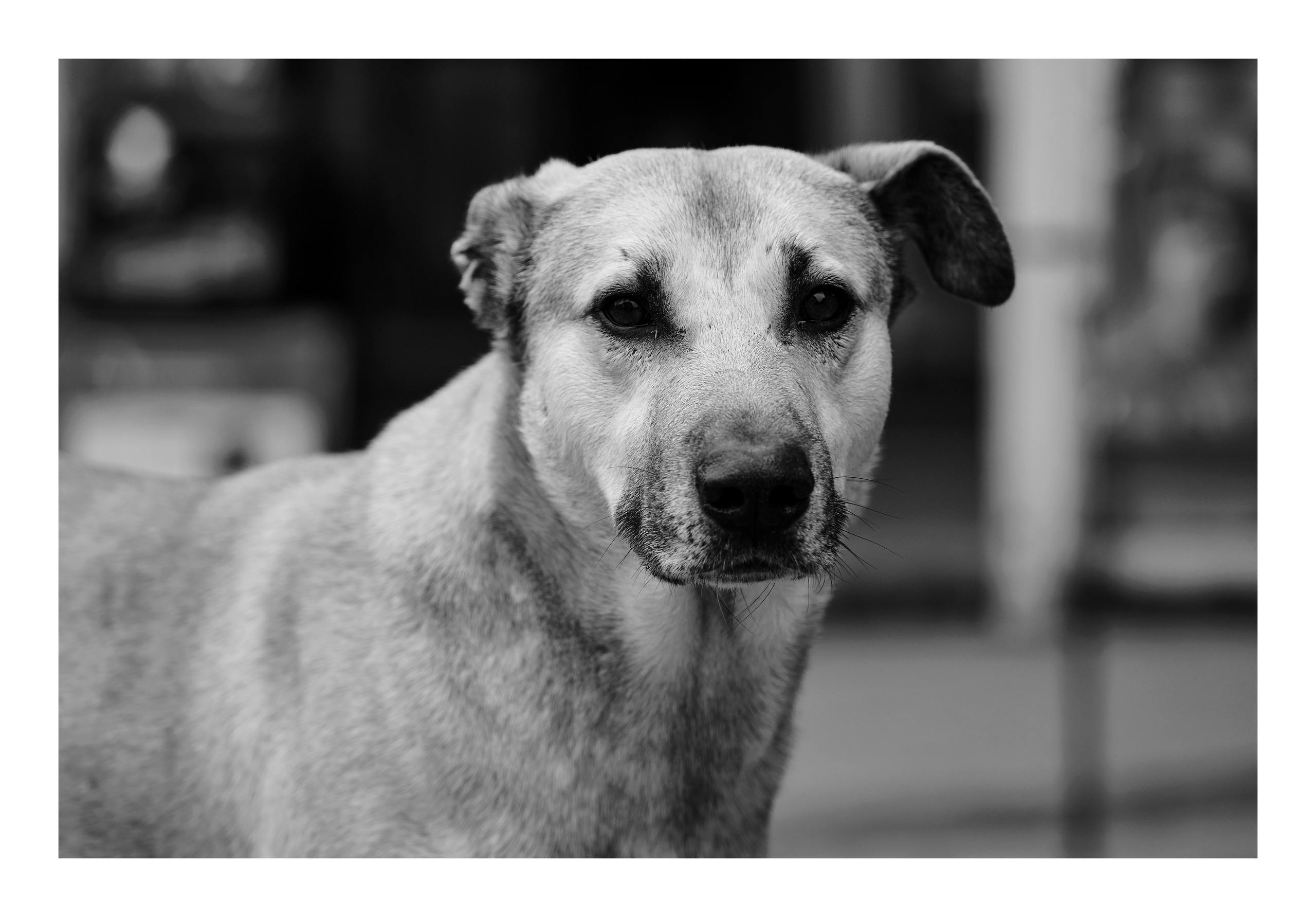 Фотопринты А3. Фотопроект «Территории»