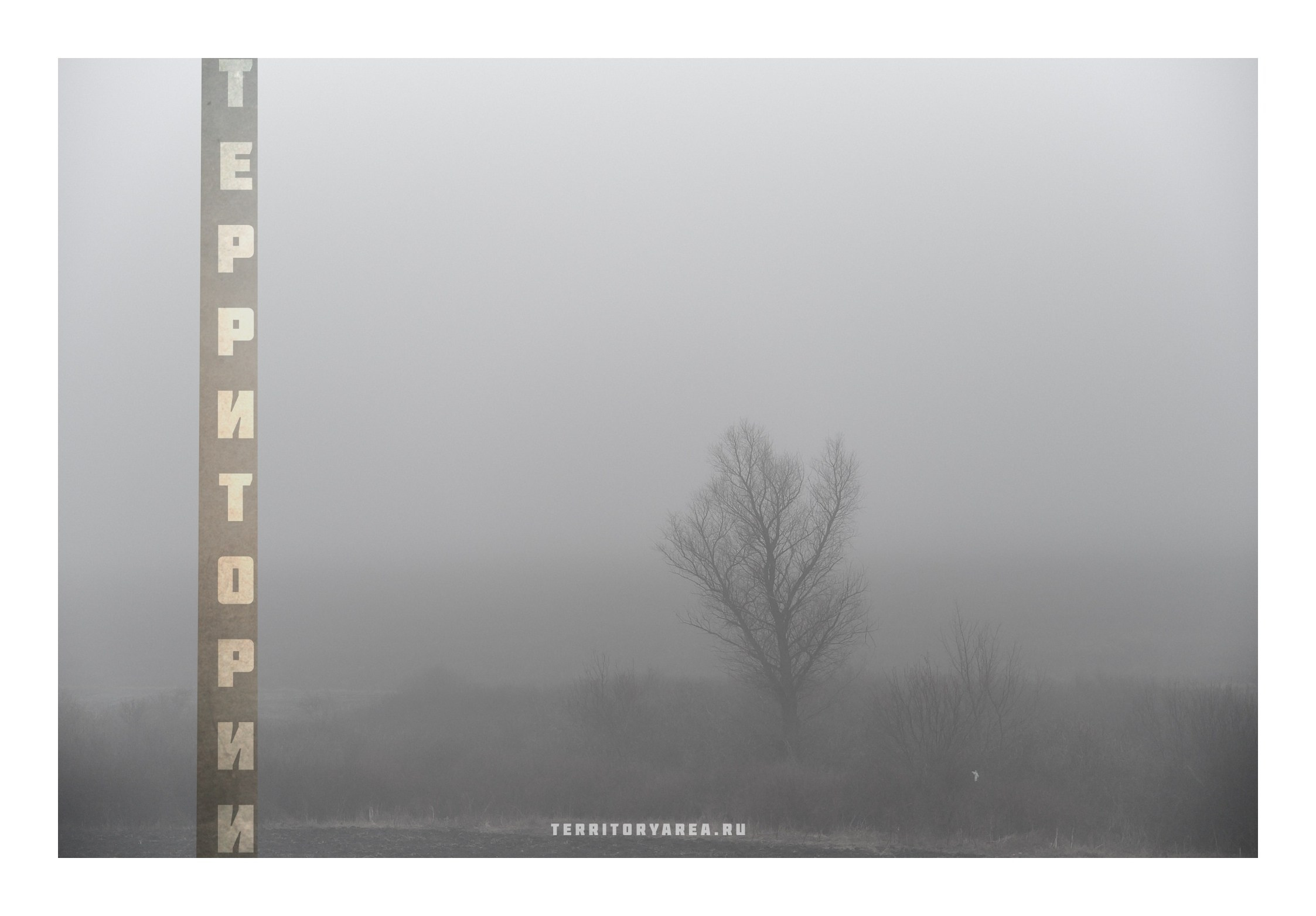 Фотопринты А3. Фотопроект «Территории»