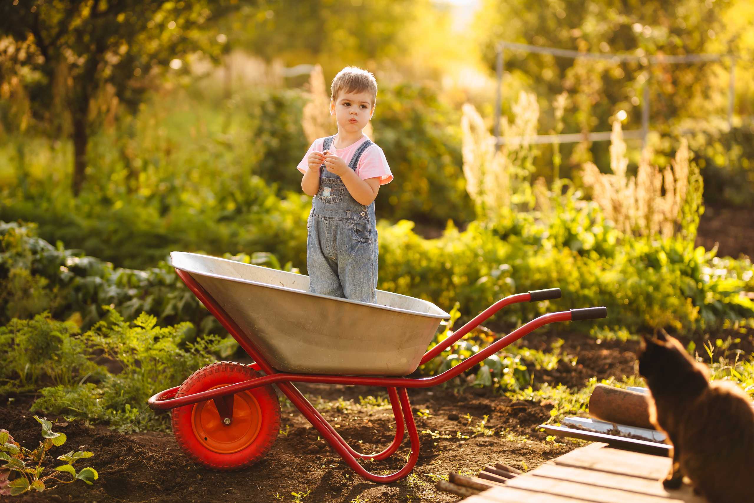У бабушки. Свадебный и семейный фотограф в Туле и области Маша Костина
