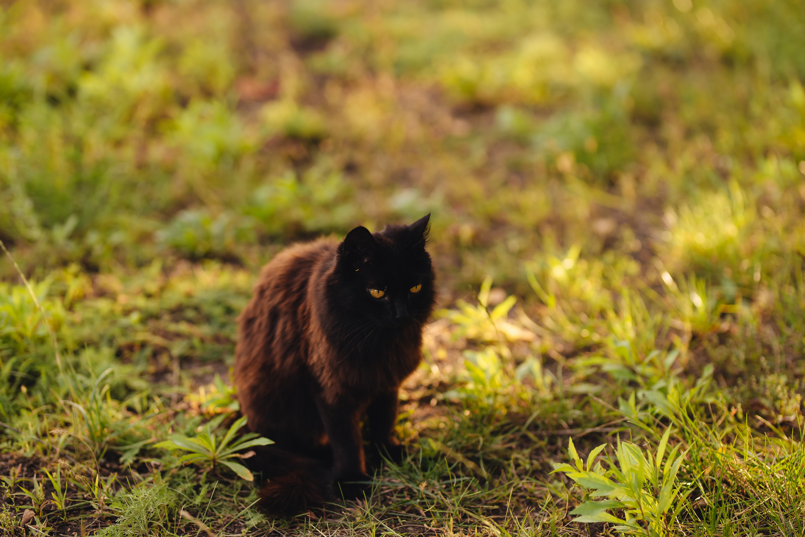 У бабушки. Свадебный и семейный фотограф в Туле и области Маша Костина