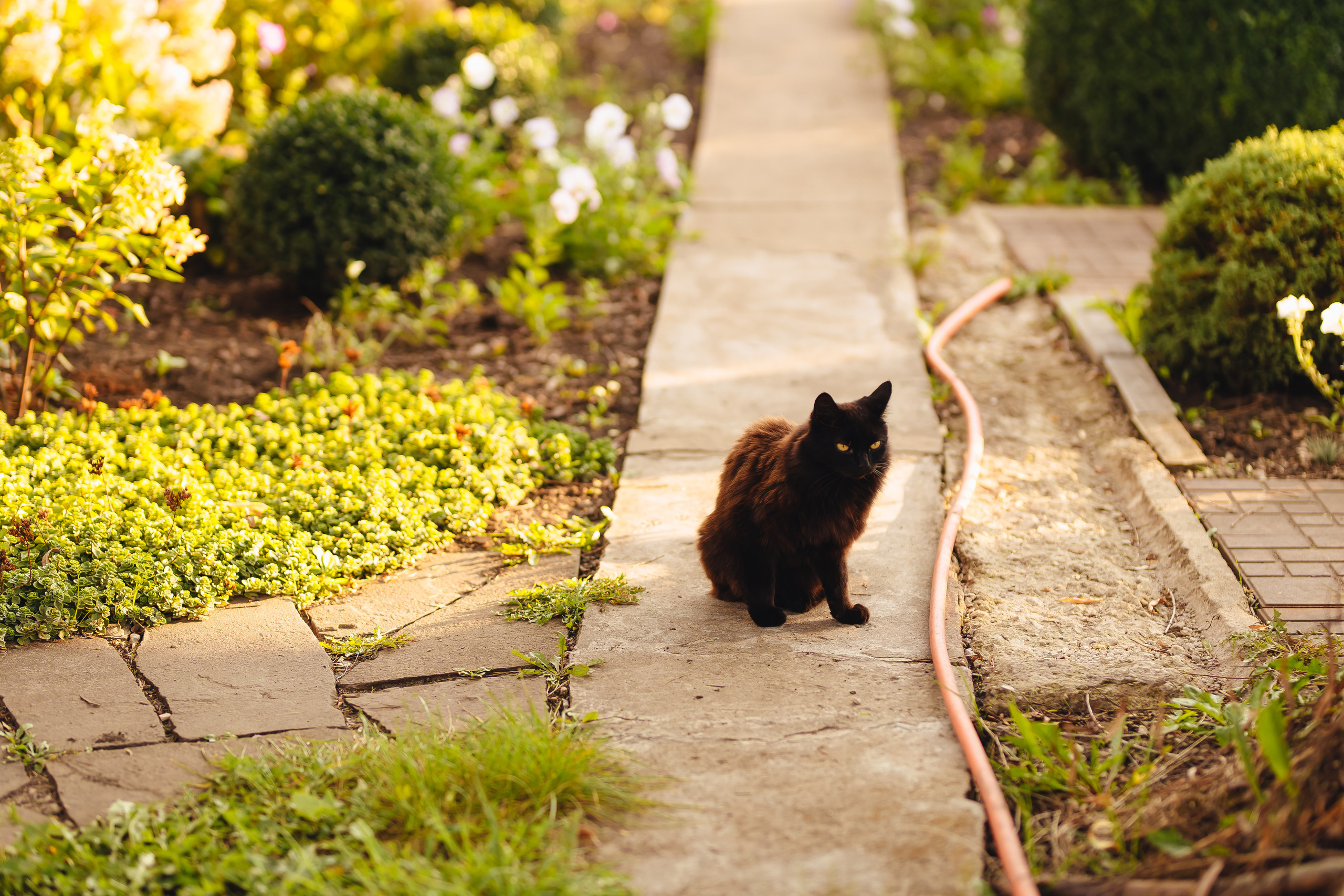 У бабушки. Свадебный и семейный фотограф в Туле и области Маша Костина