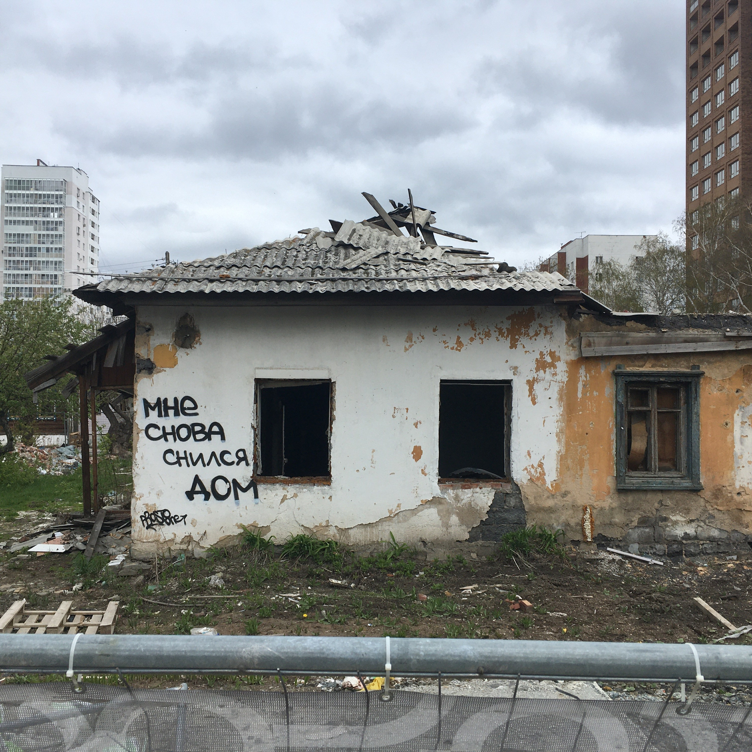 Солнечный. Фотограф в Санкт-Петербурге Березовский Даниил