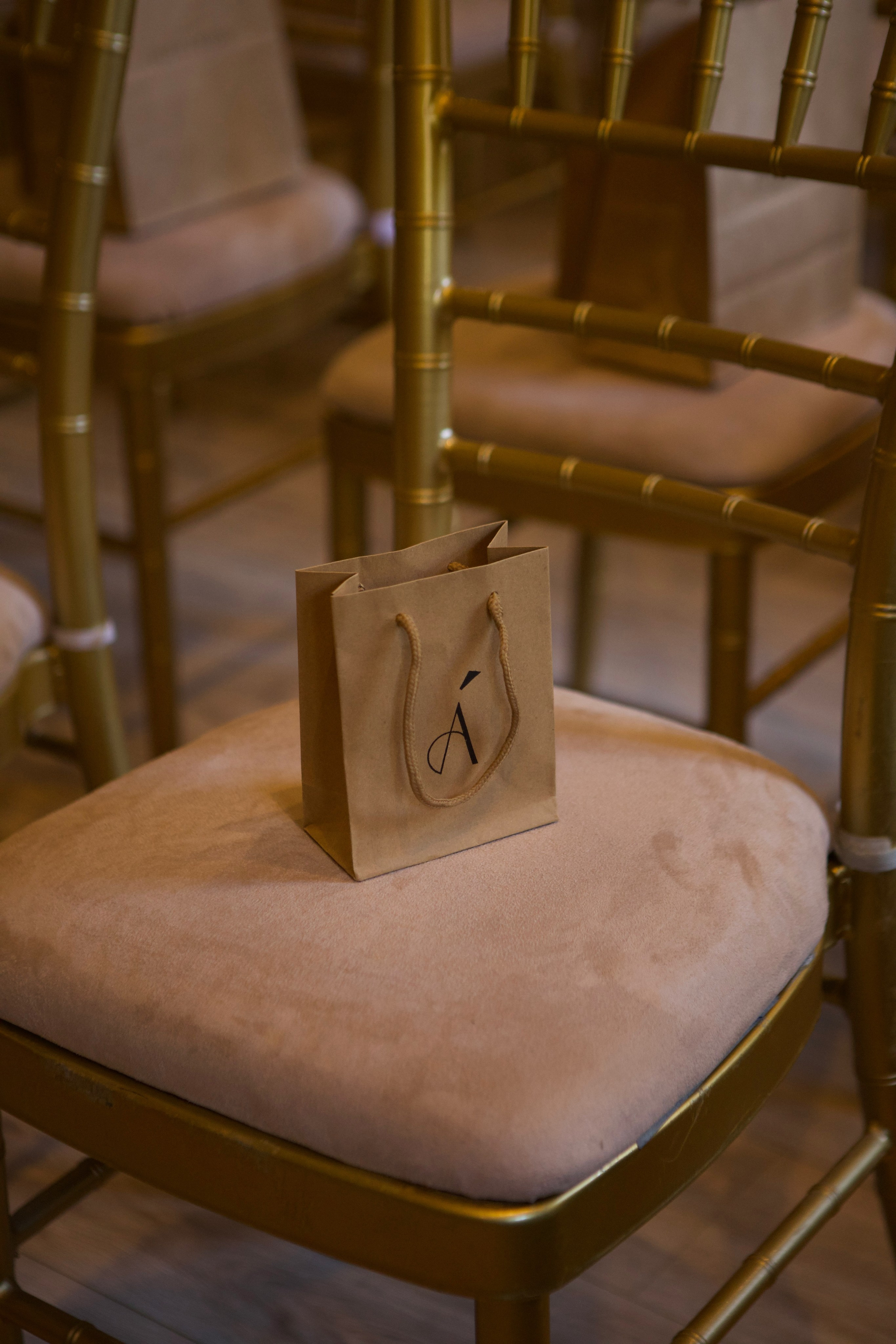 Конференция Аурики Шептуновой. Фотограф в Москве