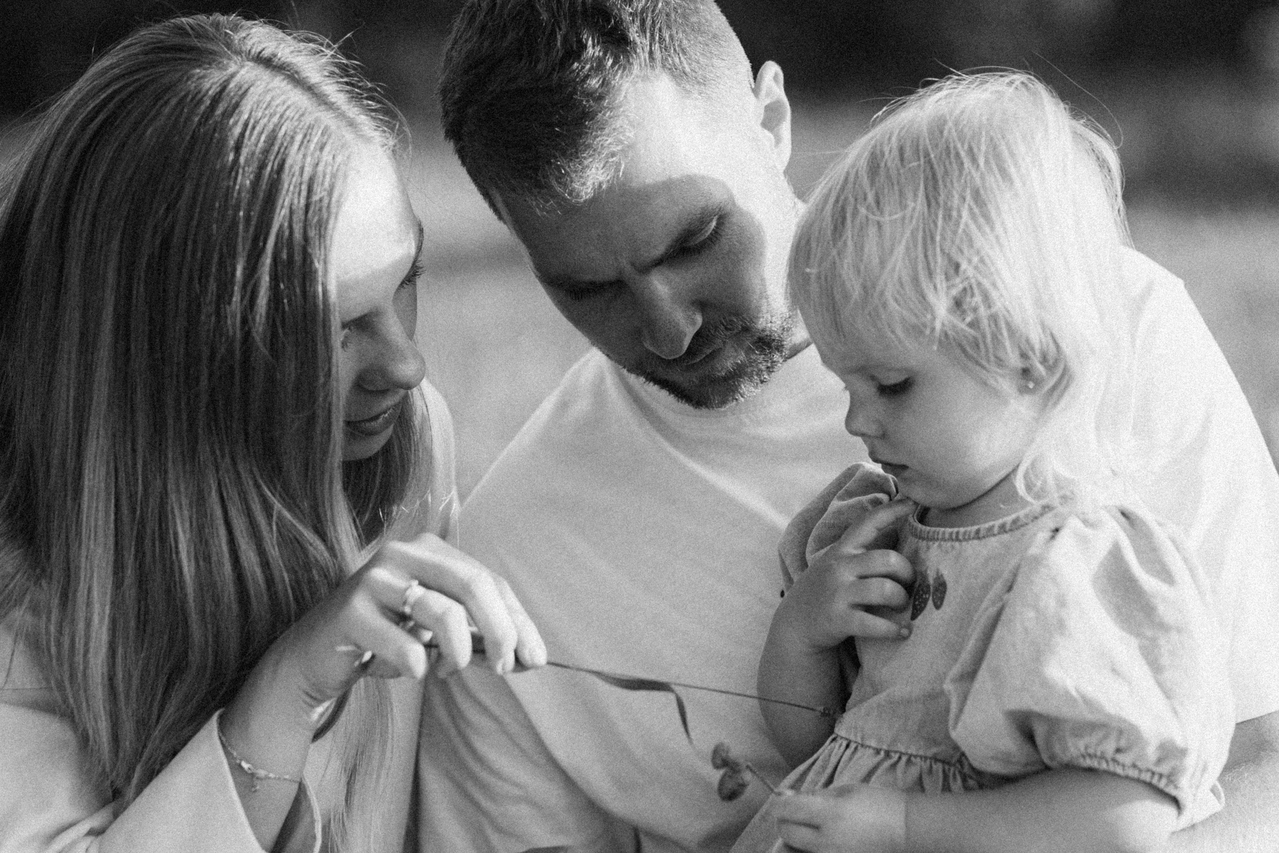 ДУБЫ. Cheta Kovalevsky фотографы