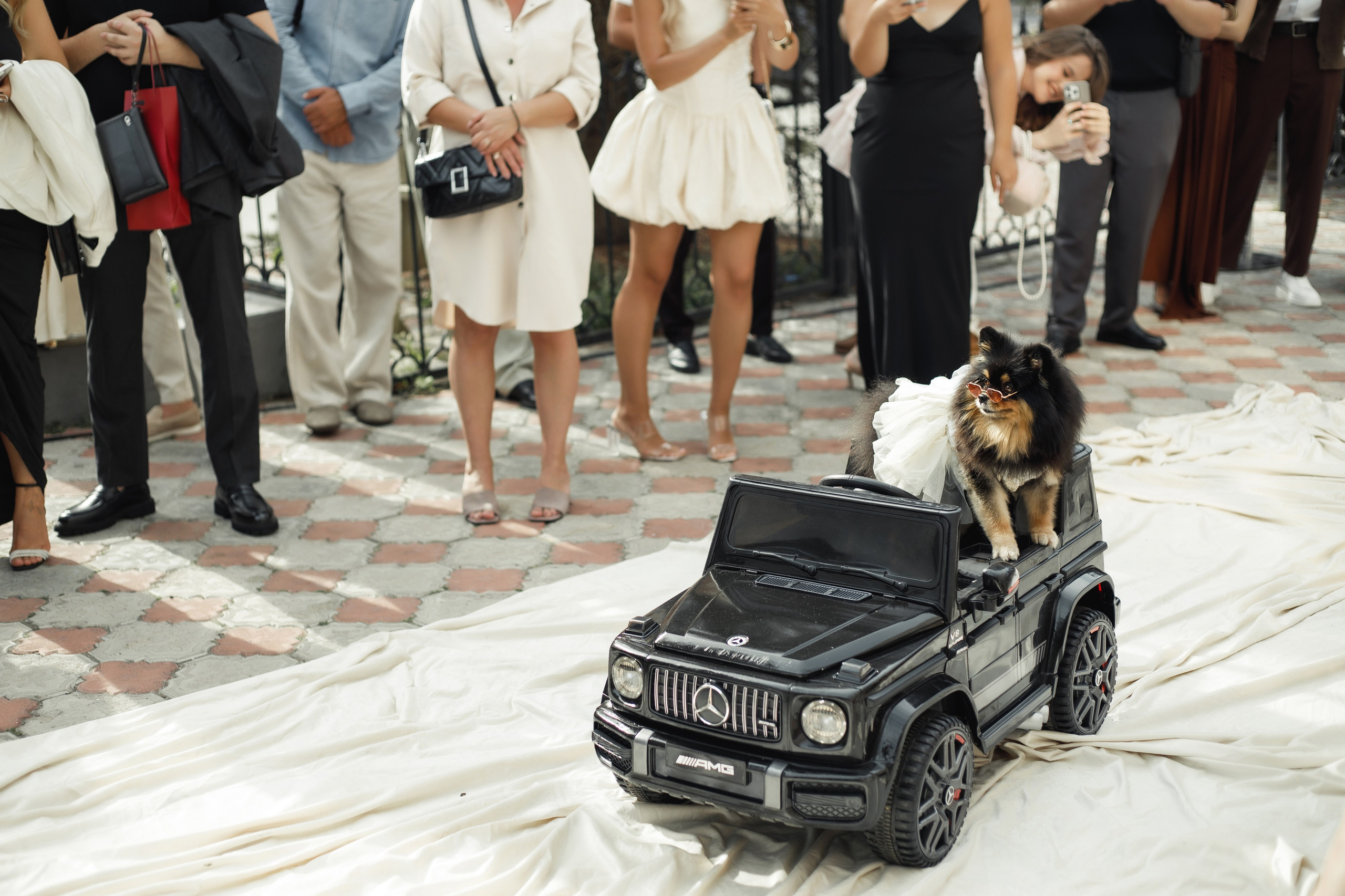 A|T. Свадебный и семейный фотограф в Саратове Анжела Борисова