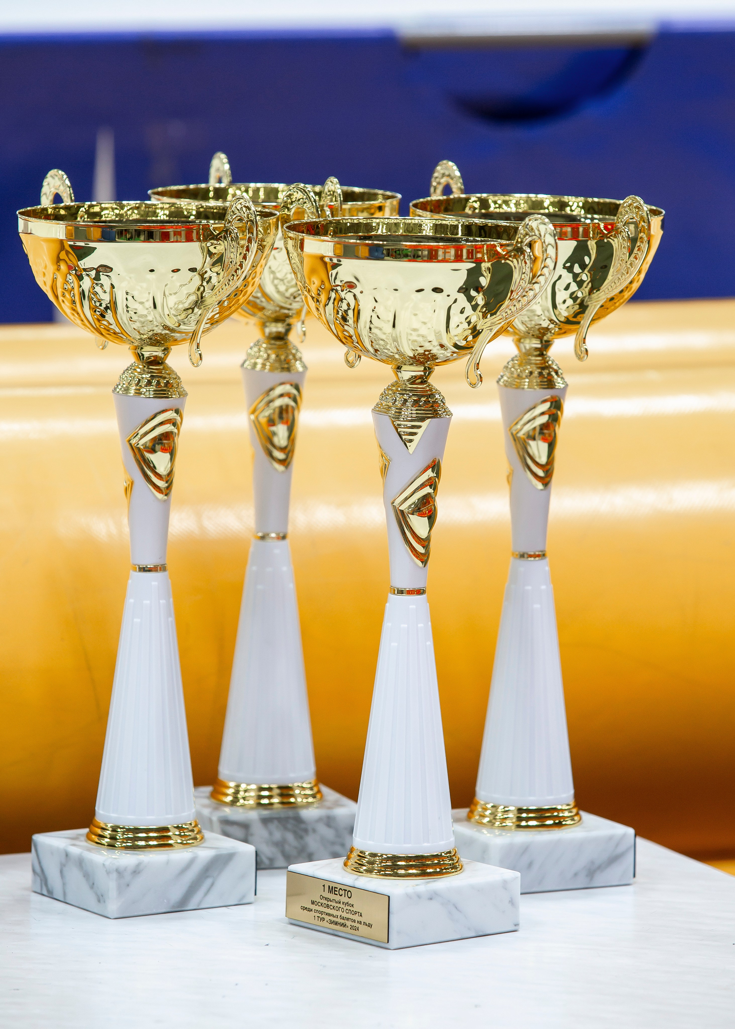 Открытый кубок Московского спорта среди спортивных балетов на льду. Детский театр на льду «АЛЕКО». Репортажный фотограф в Москве