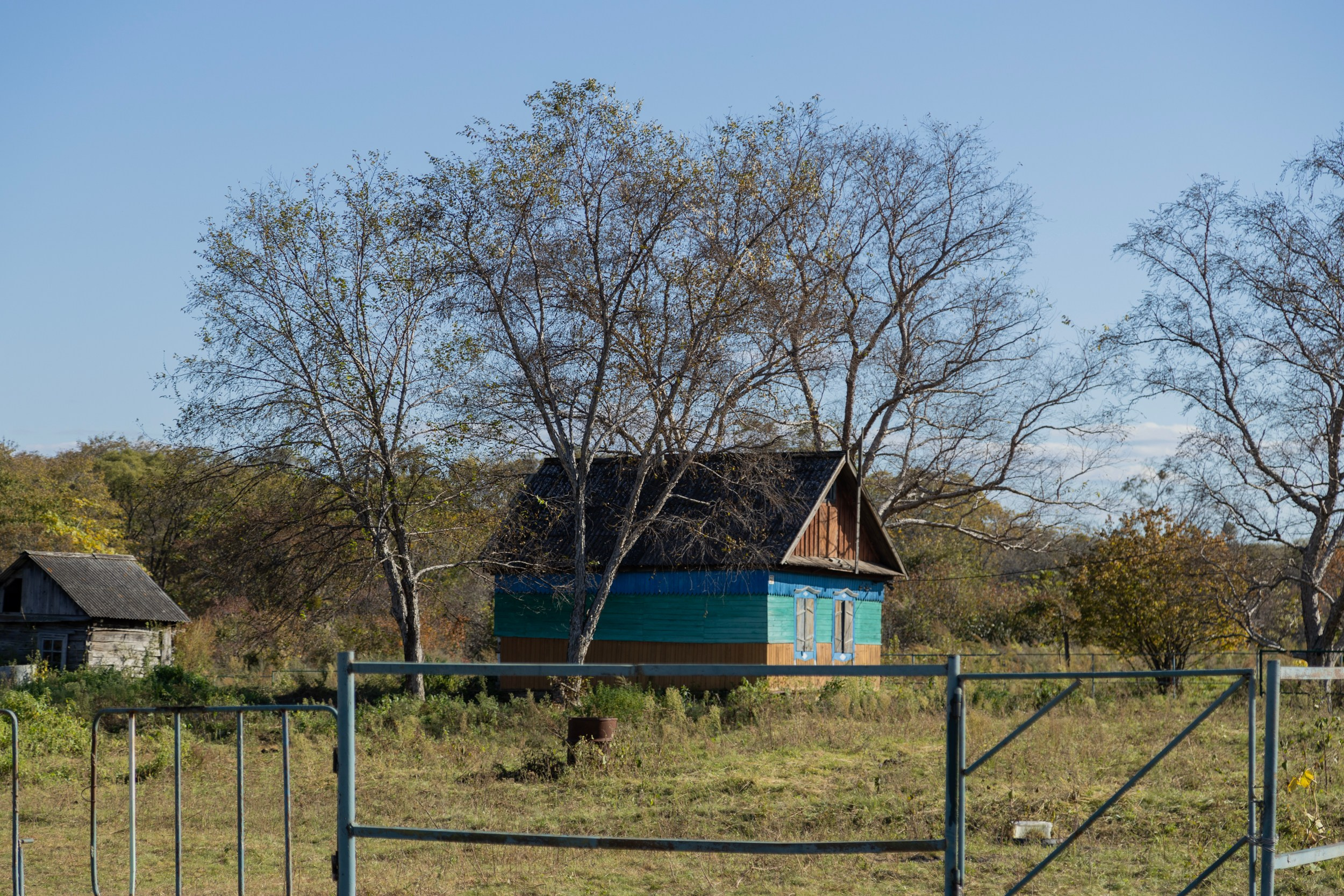 Фестиваль «Большой пикник», репортаж для ASAP Speedcubing. Репортажный и портретный фотограф в Владивостоке
