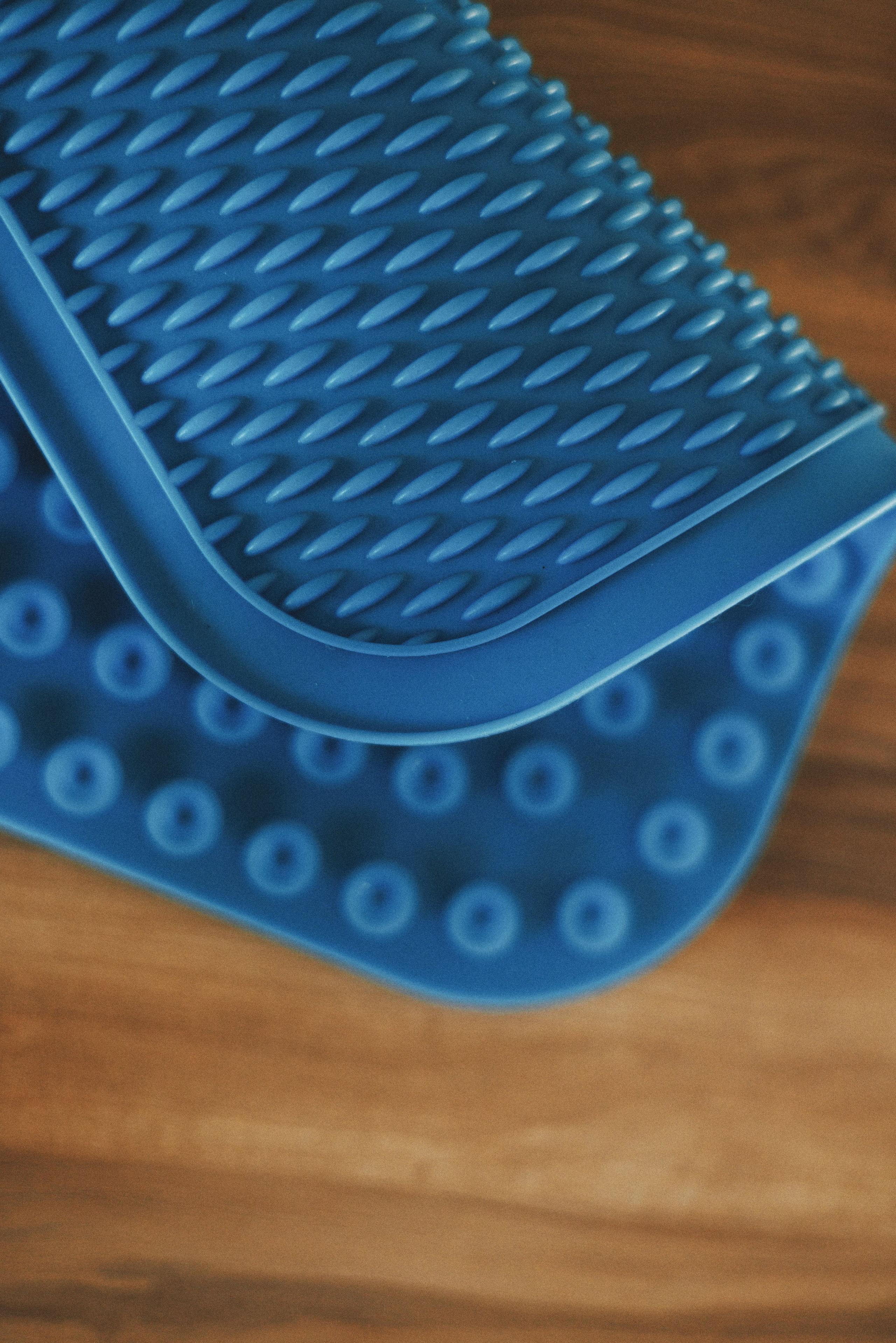 M-Pets. Фотограф анималист Осипчикова Мария