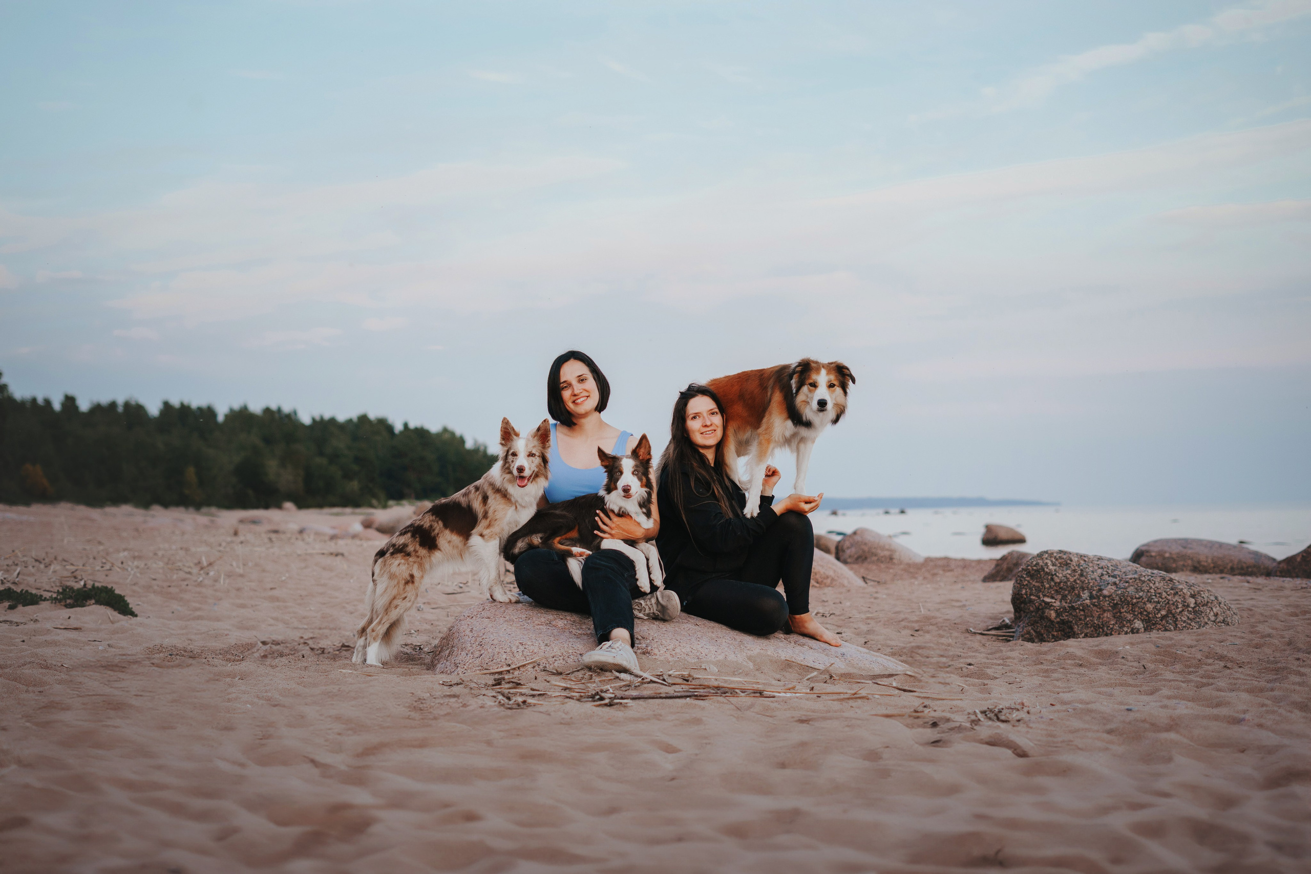 Рита, Маша и много собак. Фотограф анималист Осипчикова Мария