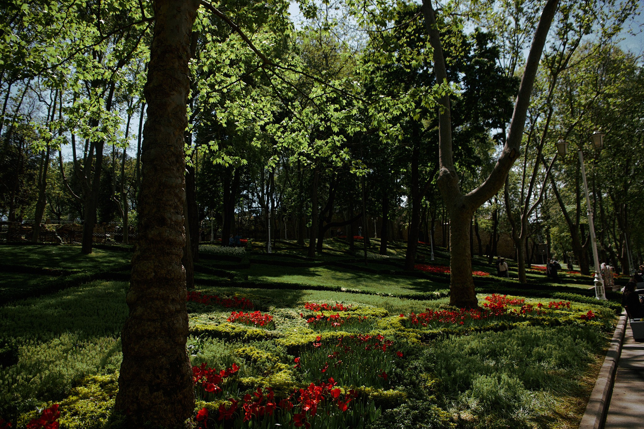 Улица горизонтальная. Jorgis — фотограф в Хургаде / обучение фотографии