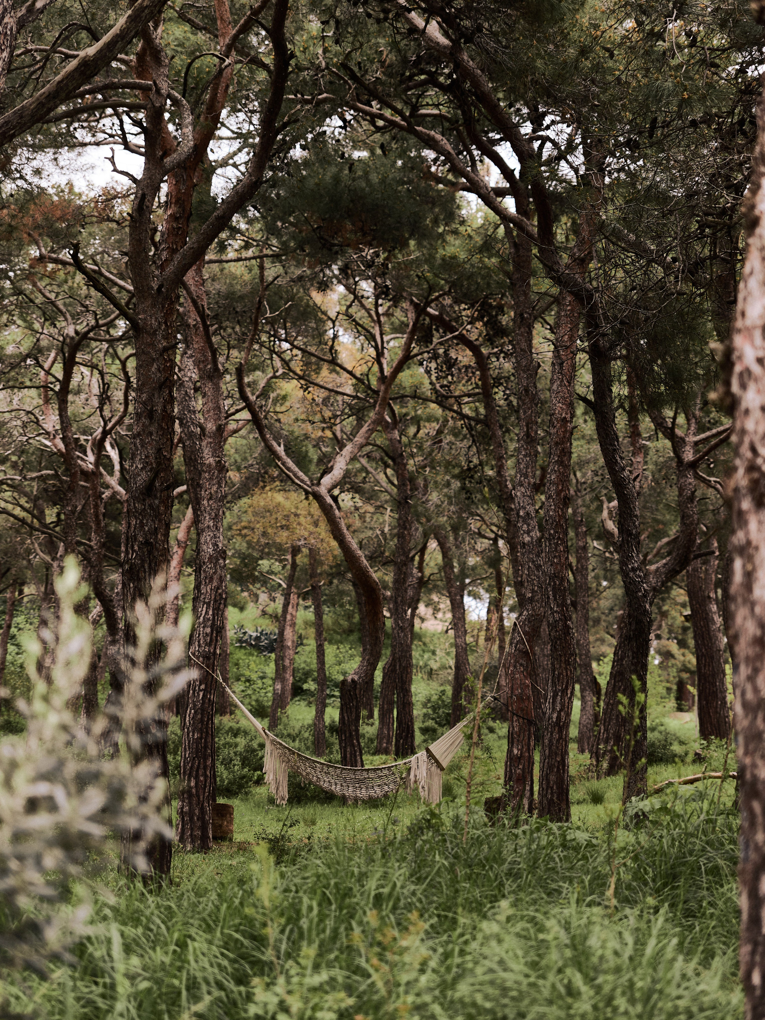 Природа сквозь. Jorgis Talè — photographer, kind person, teacher of arts and other mag