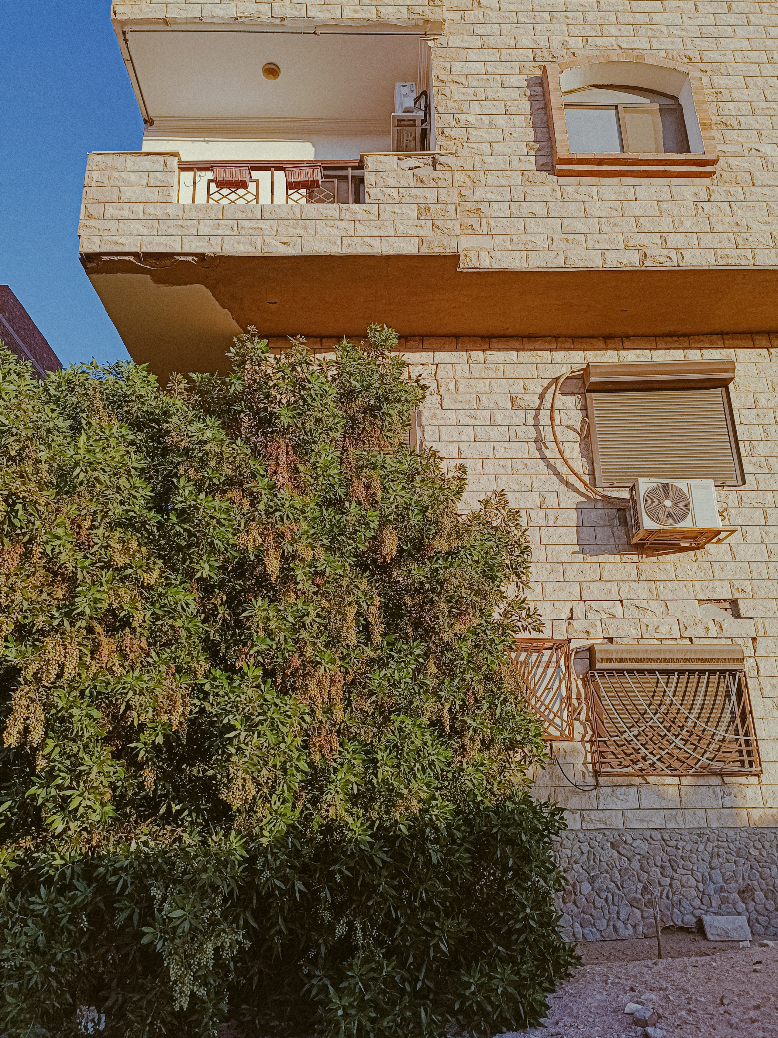 Мобильная. Jorgis — фотограф в Хургаде / обучение фотографии