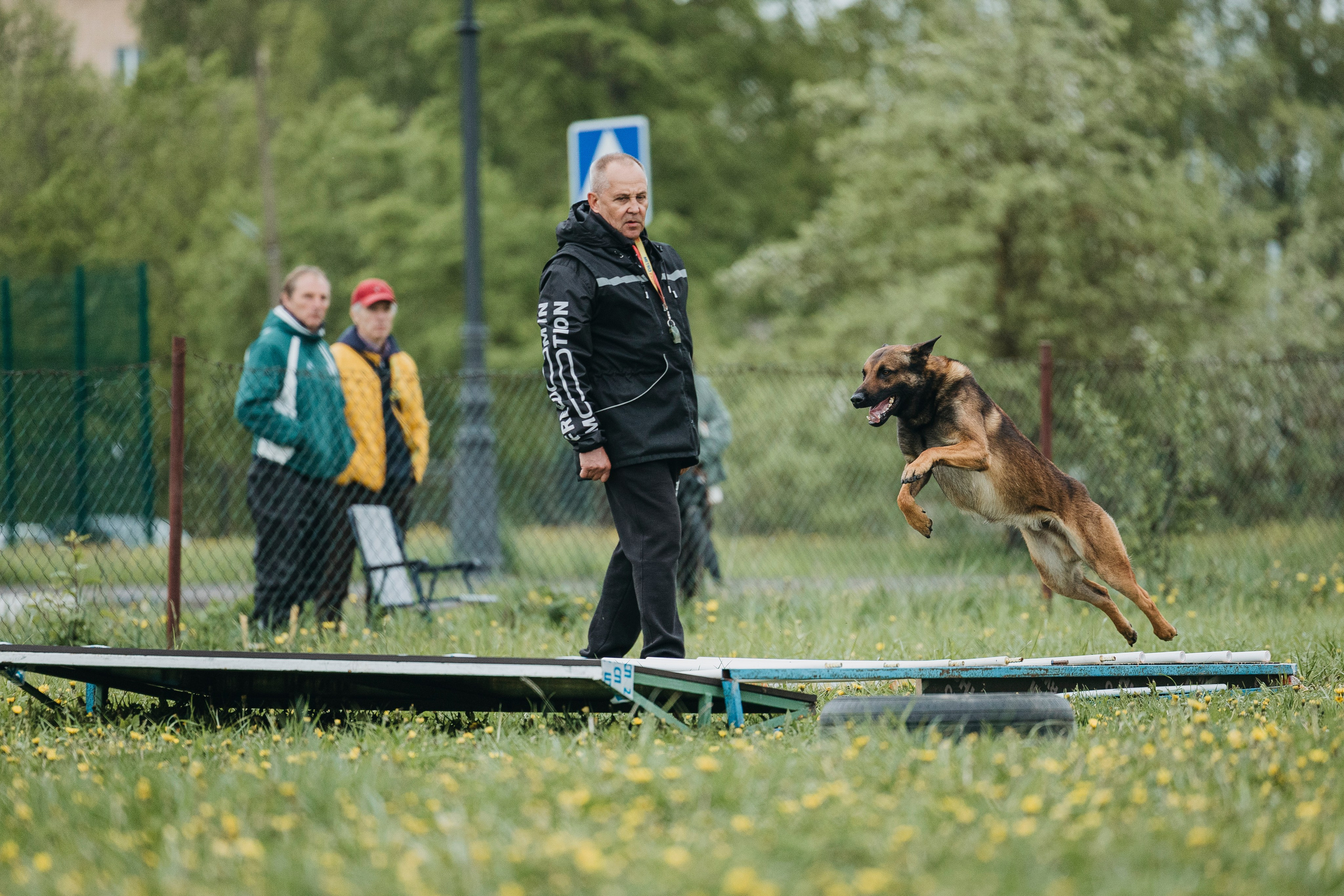 26.05.25 г. Пушкин квалификационные соревнования. Фотограф-анималист Анна Маринич