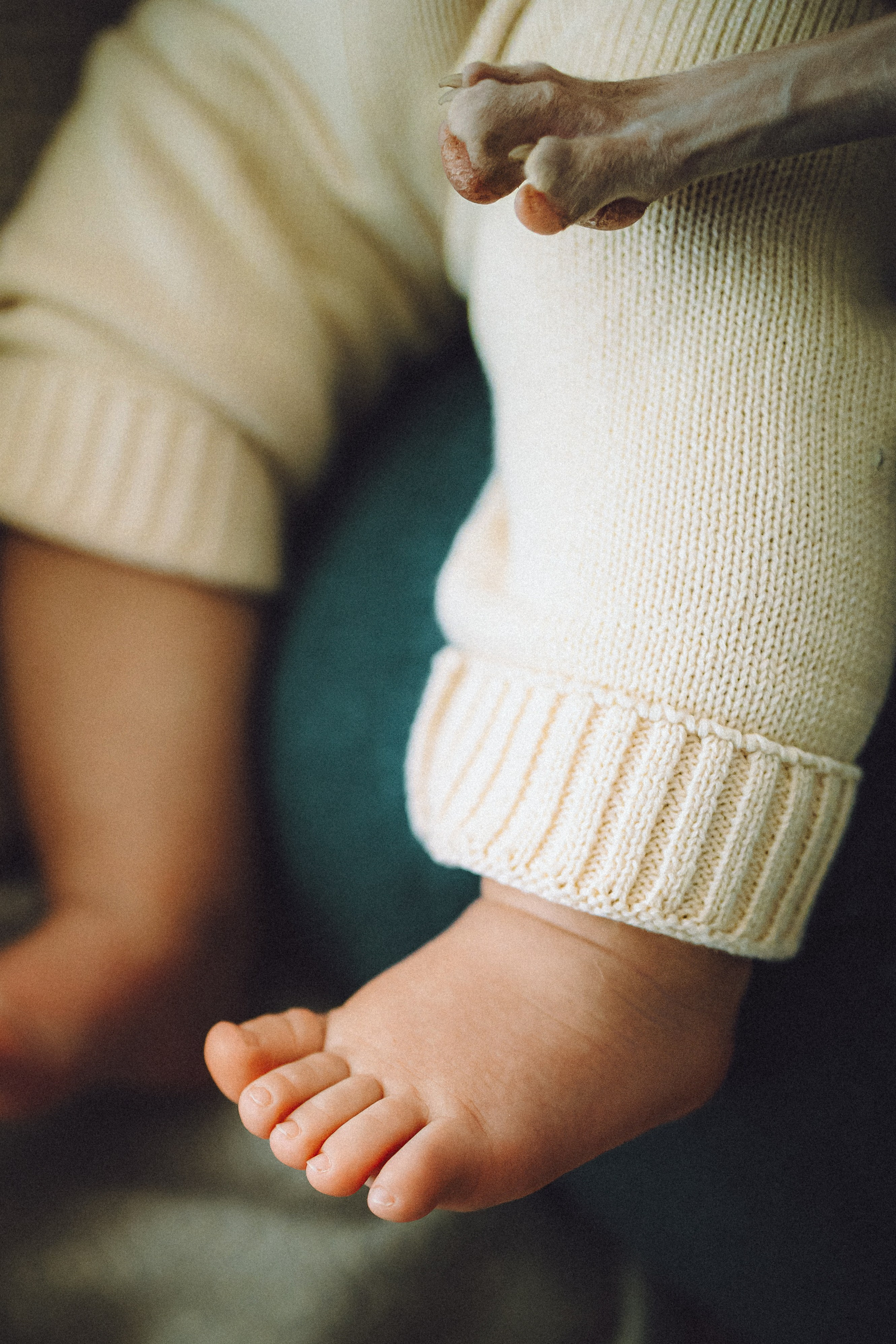 Топик и его семья