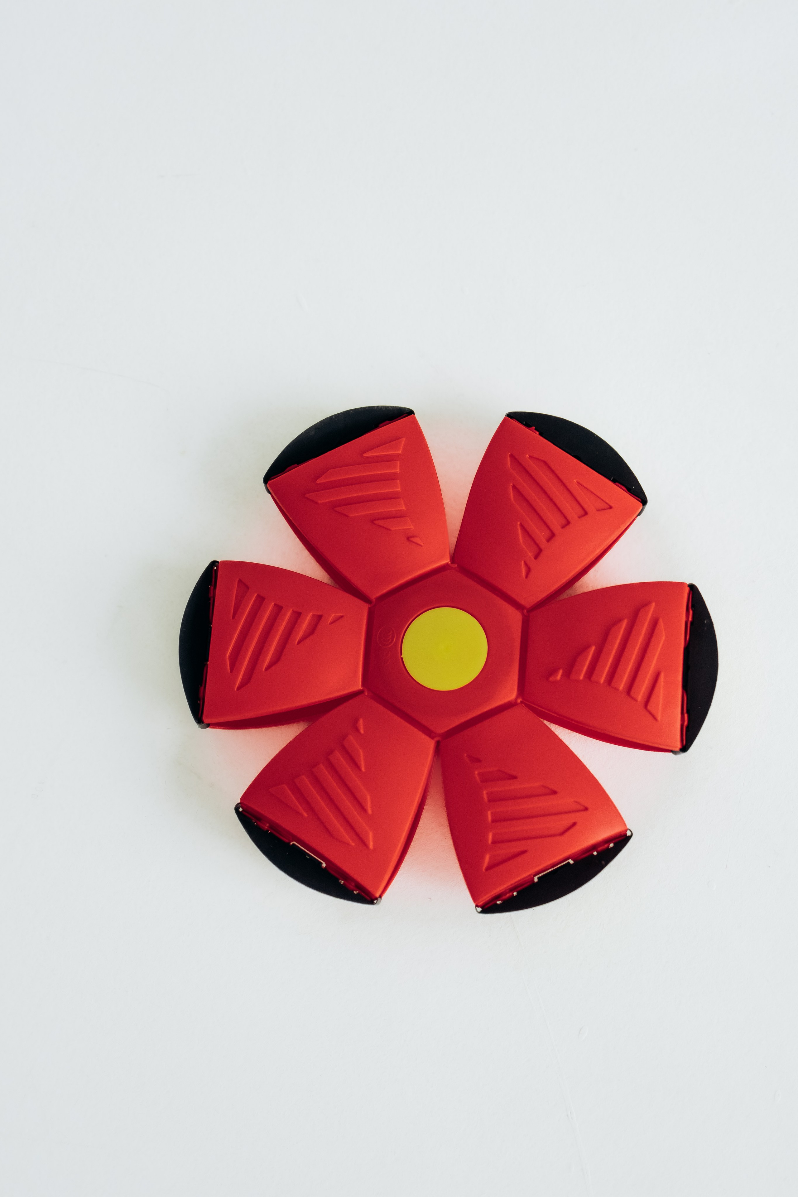 Мячи-попрыгуны. Фотораф — анималист Мария Шистка