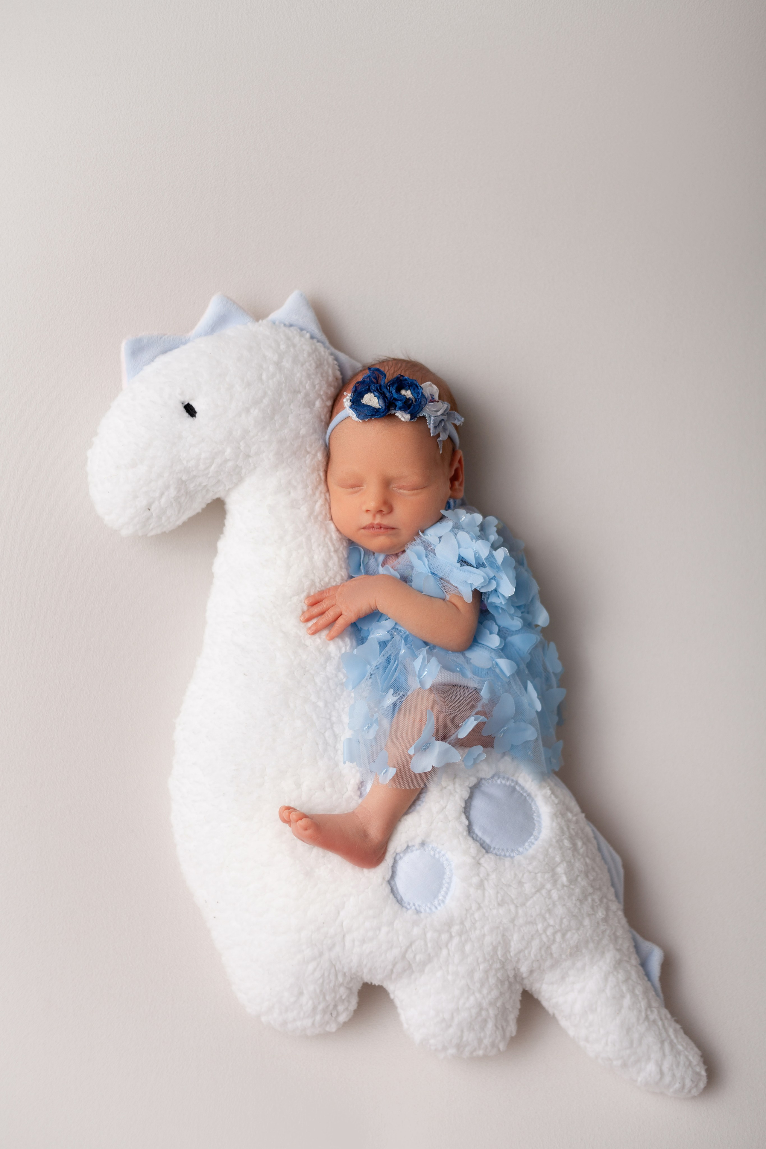 Девочки. Фотограф новорожденных г. Подольск, г. Жуковский, весь юг Москвы и Моск.обл