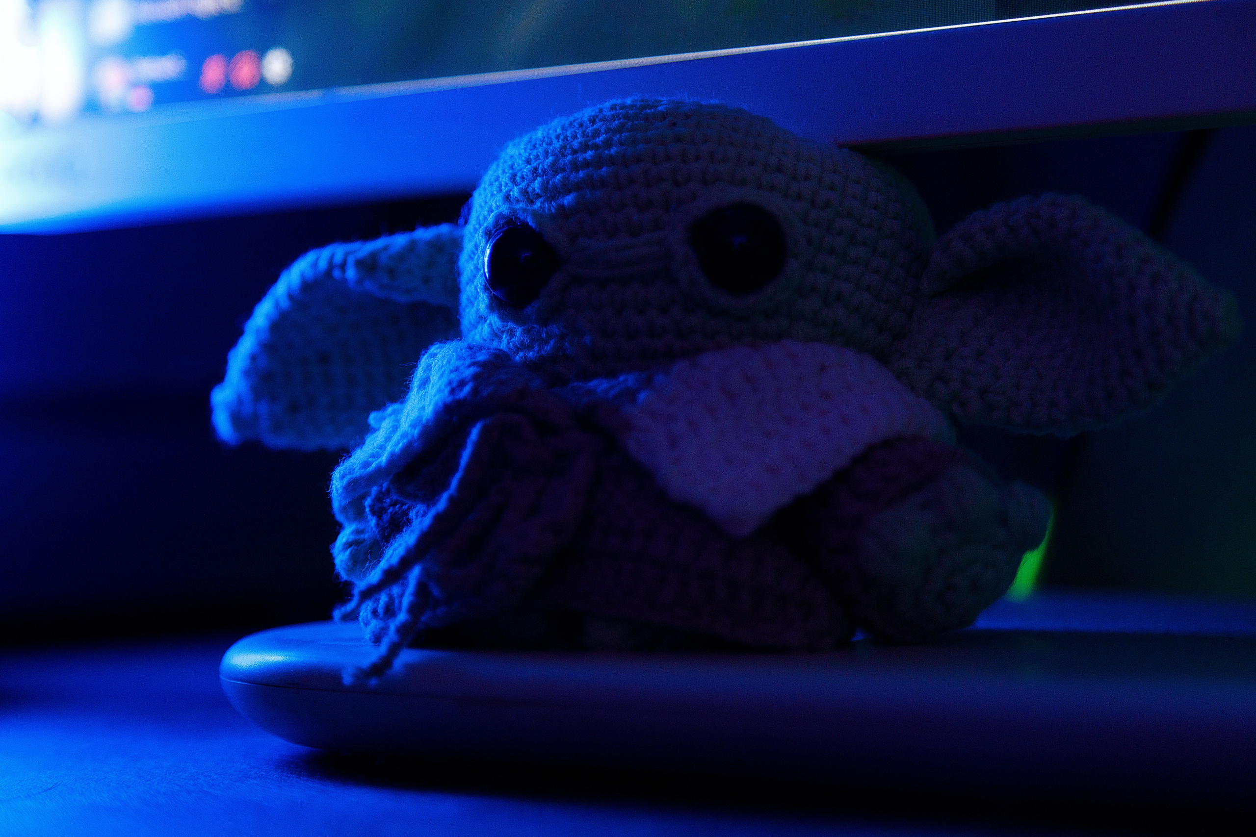 Проект «366»|2024|Фото каждый день. LENA GRACE photographer ||ЛЕНА ГРЭЙС фотограф