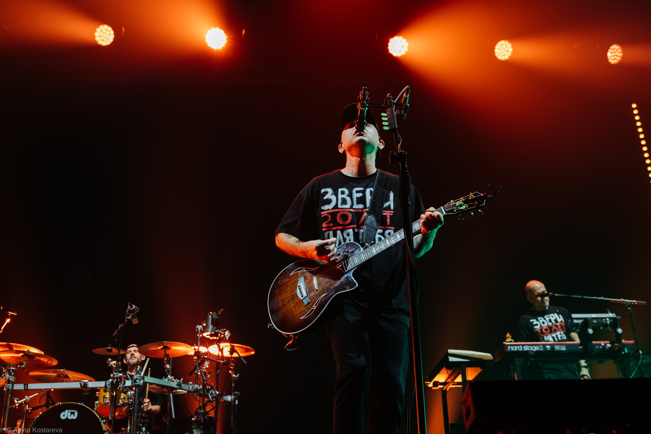 Звери. Алена Костарева. Фотограф в Ростове-на-Дону