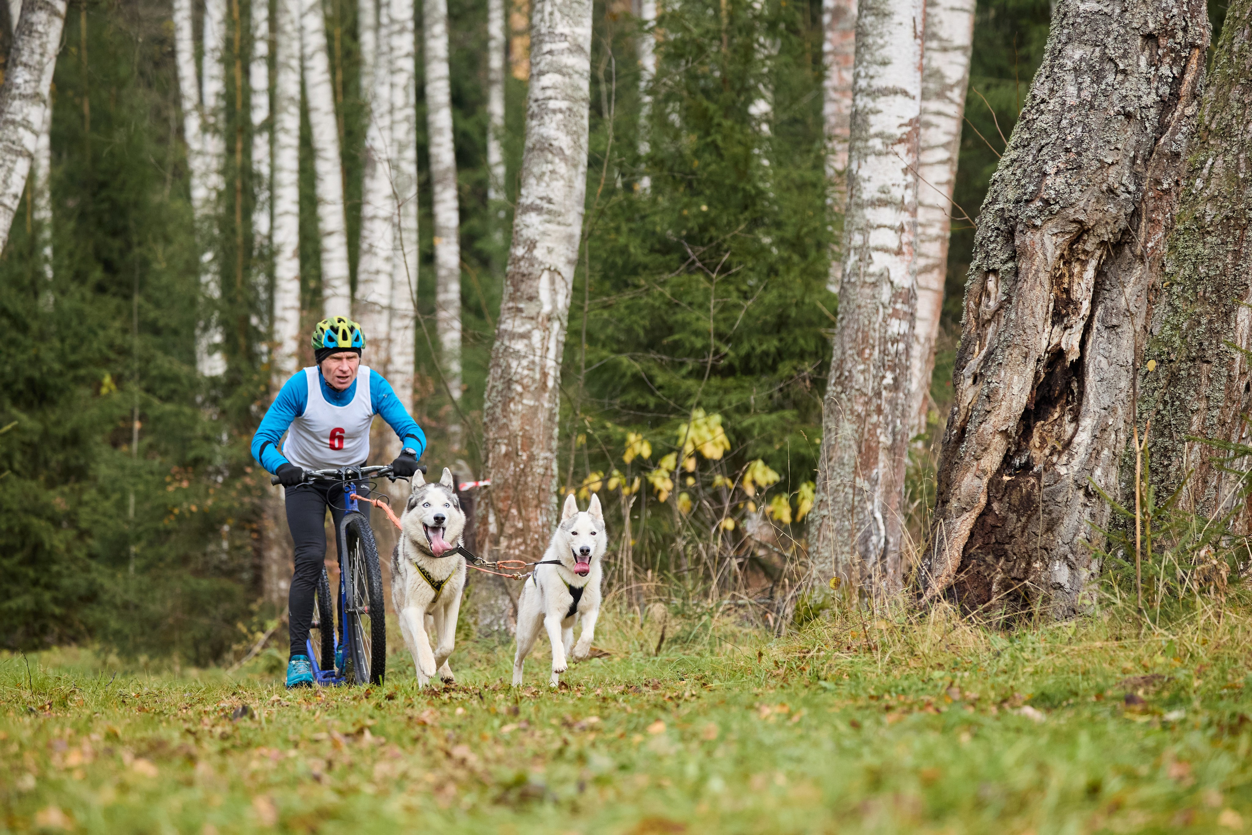 Чемпионат по ЕС Ярославской области. Фотограф Ирина Астор