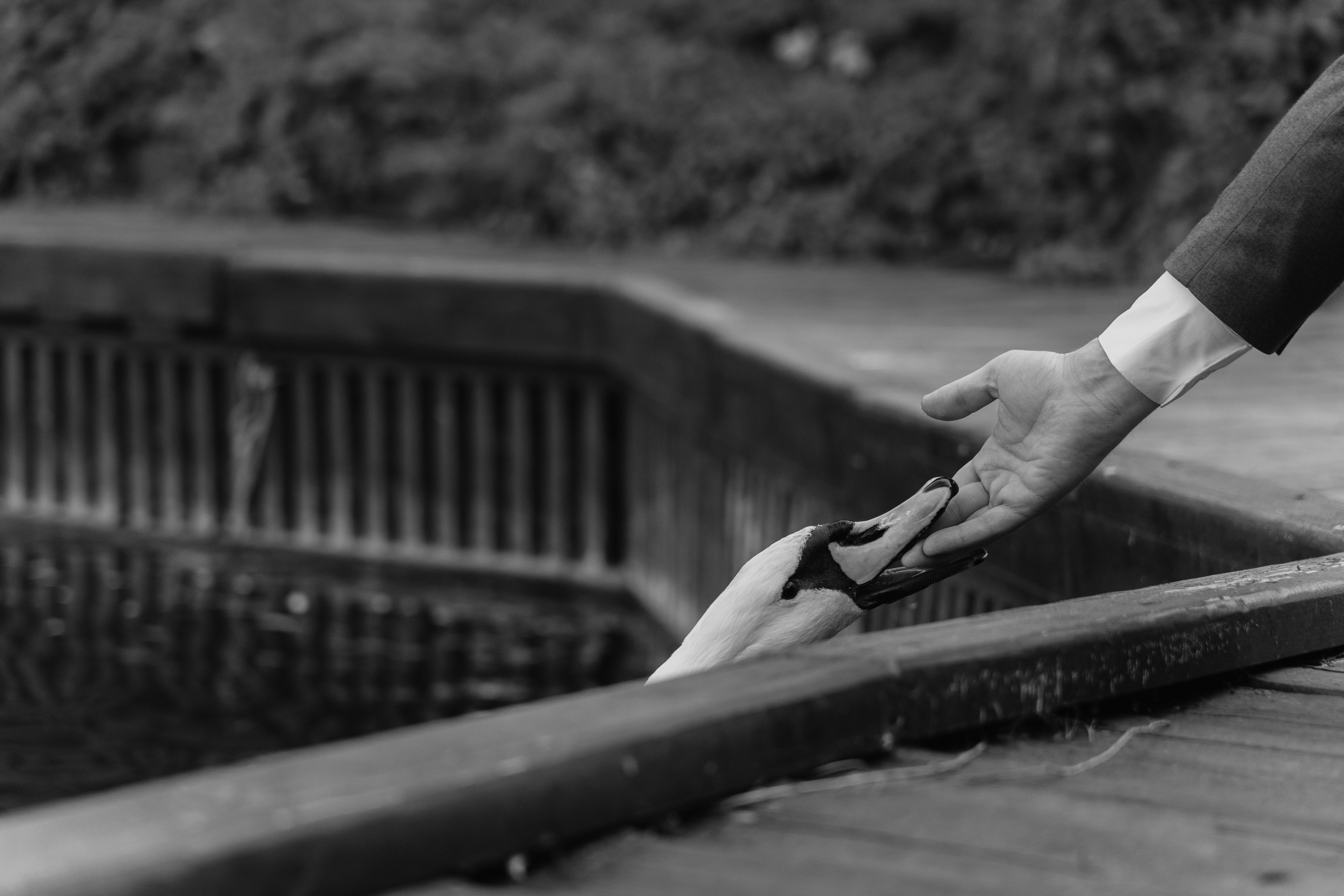 Georgy & Julia. Свадебный организатор в Ростове-на-Дону Яснов Роман