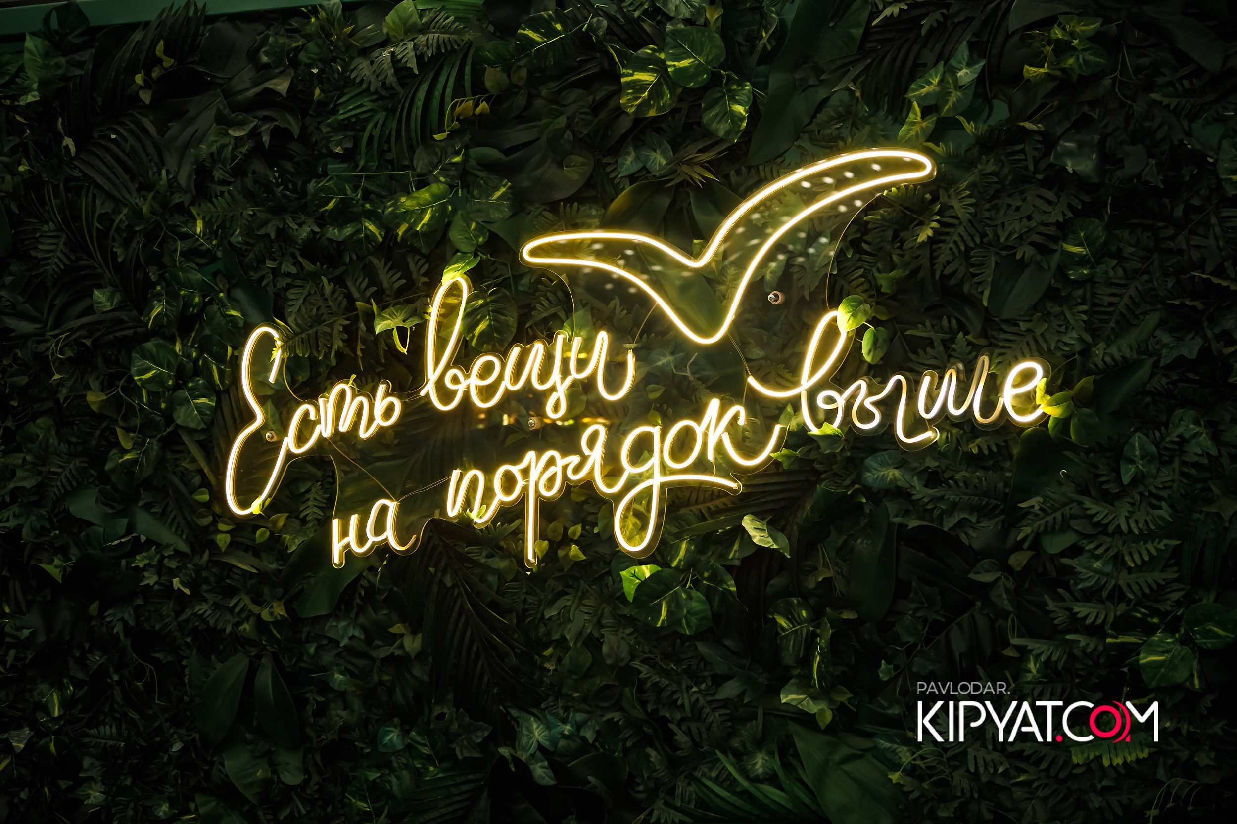 Hudson. Кипятком Павлодар