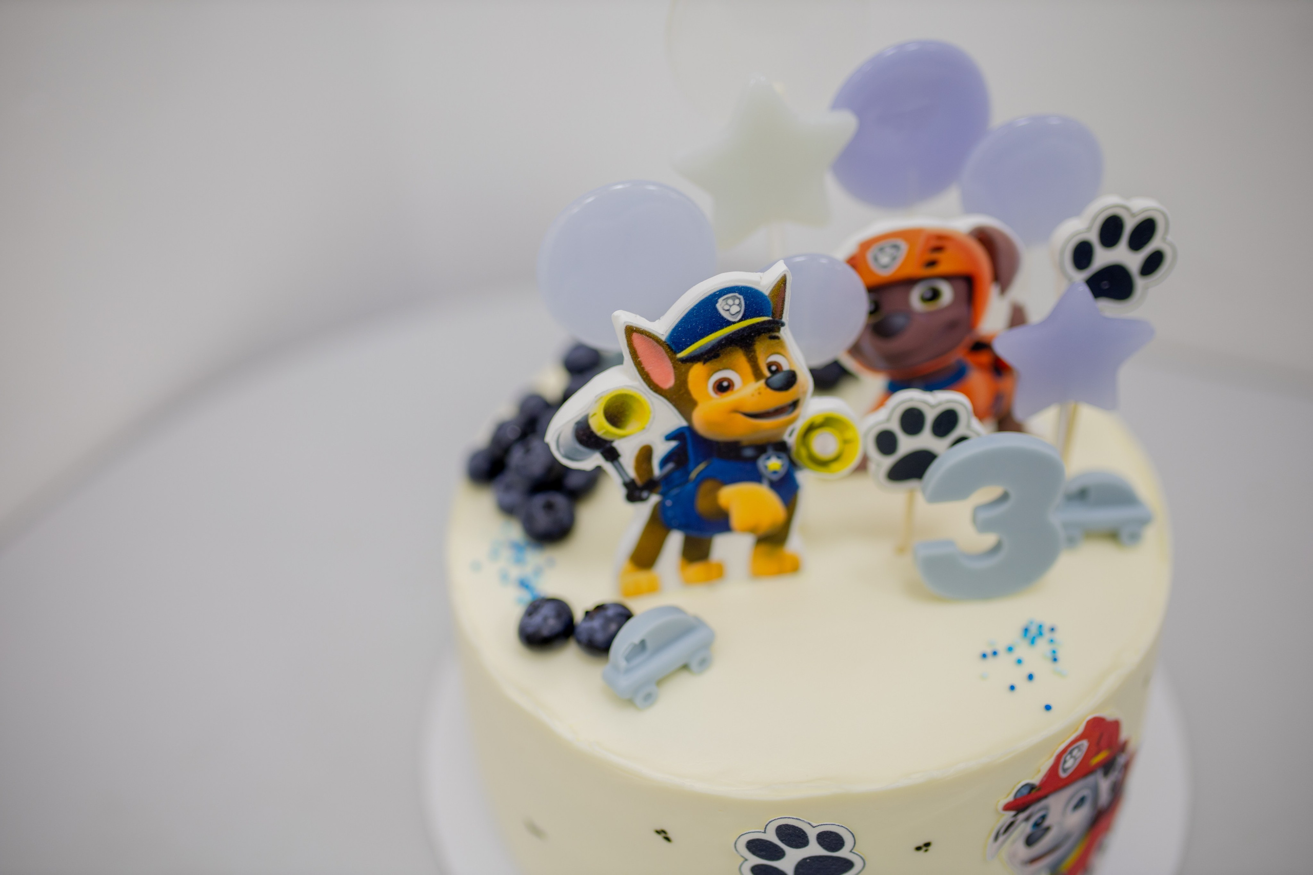 Вечеринка Вовочки. Семейный и детский фотограф в Петрозаводске