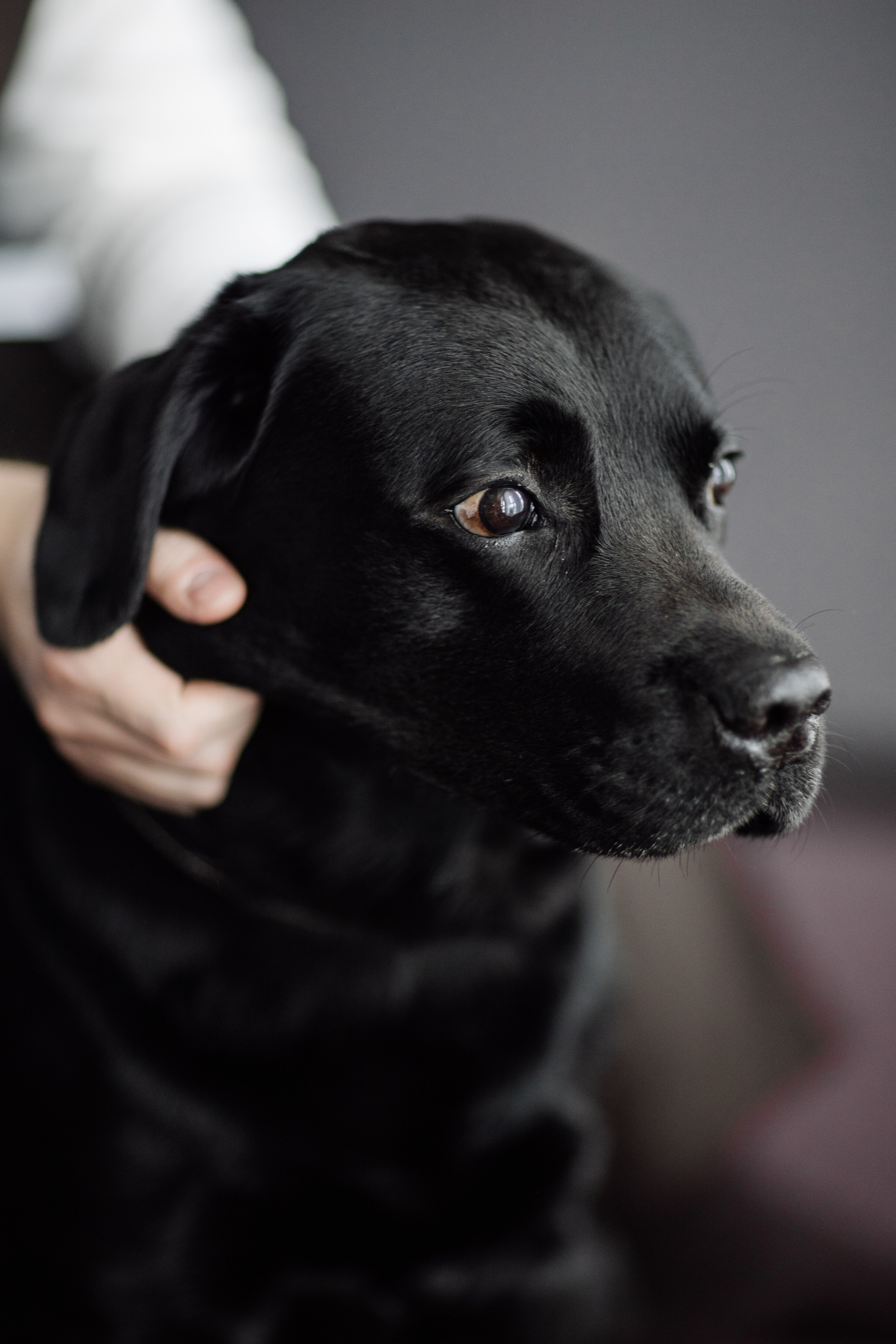 В стиле Властелина Колец. Свадебный фотограф в Нижнем Новгороде — Эдуард Смирнов