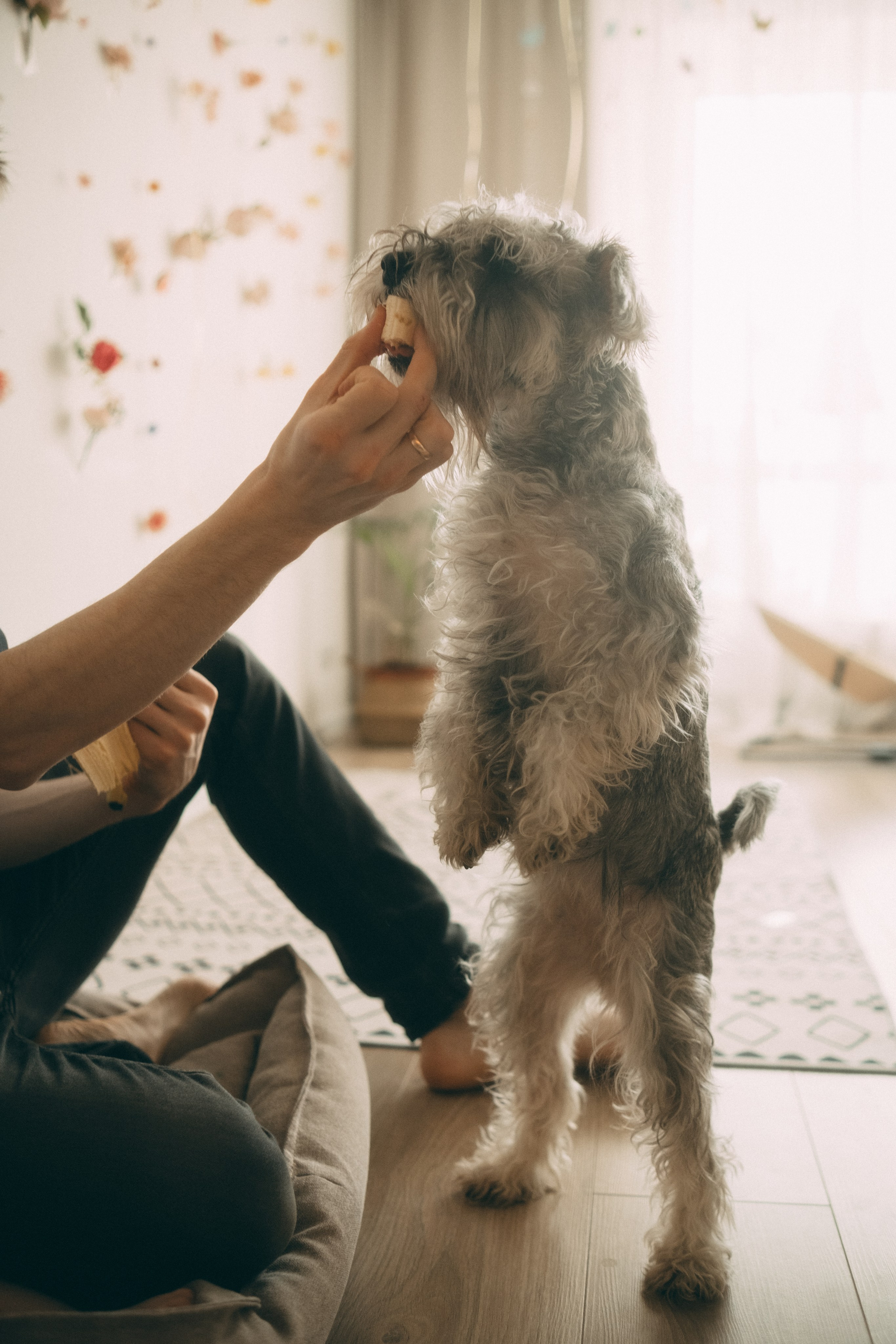 Праздничное утро Евы. Видеограф и фотограф Анна Грачева г. Москва