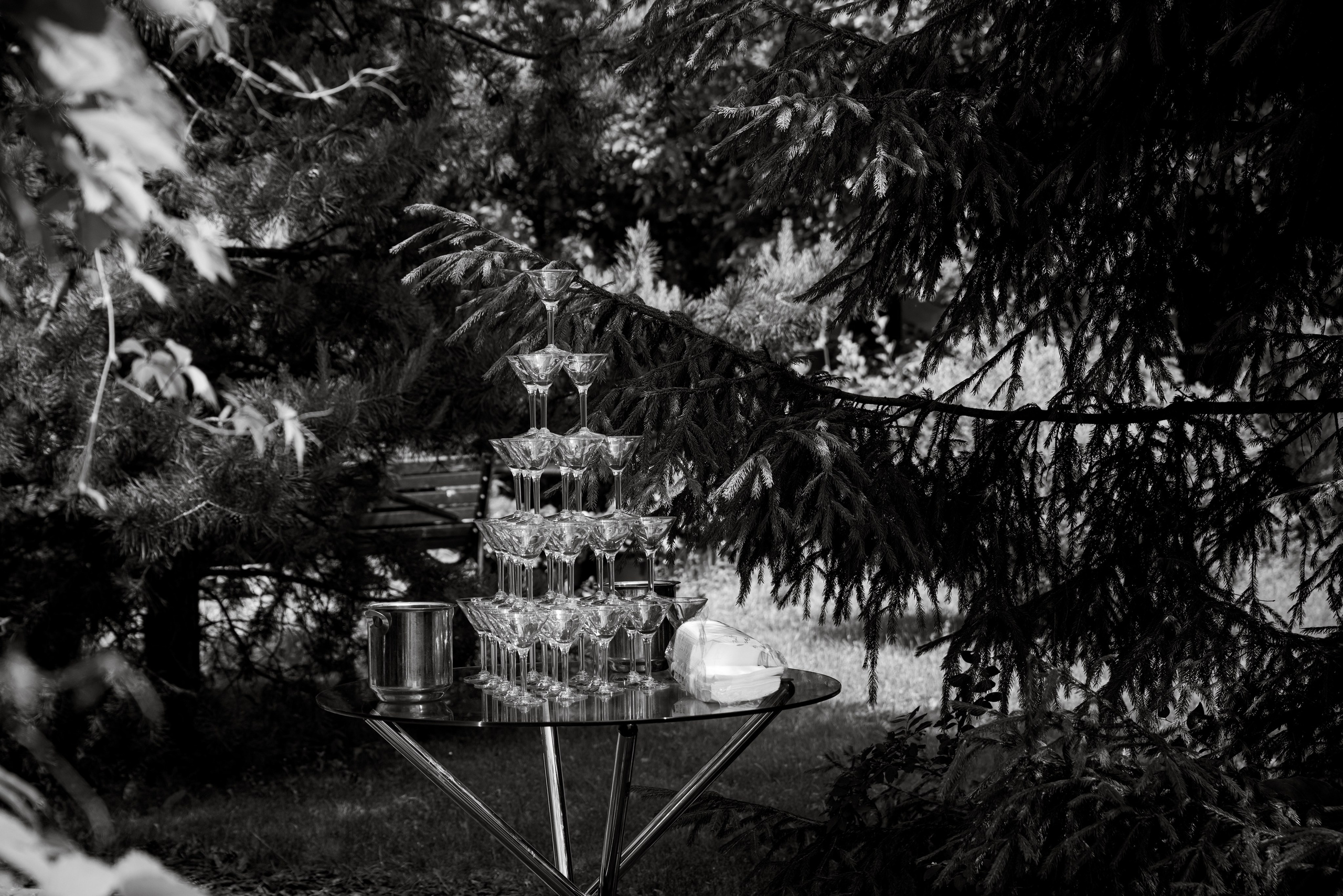 Анастасия и Никита| Зоопарк. Фотограф Москва Шептаев Артём