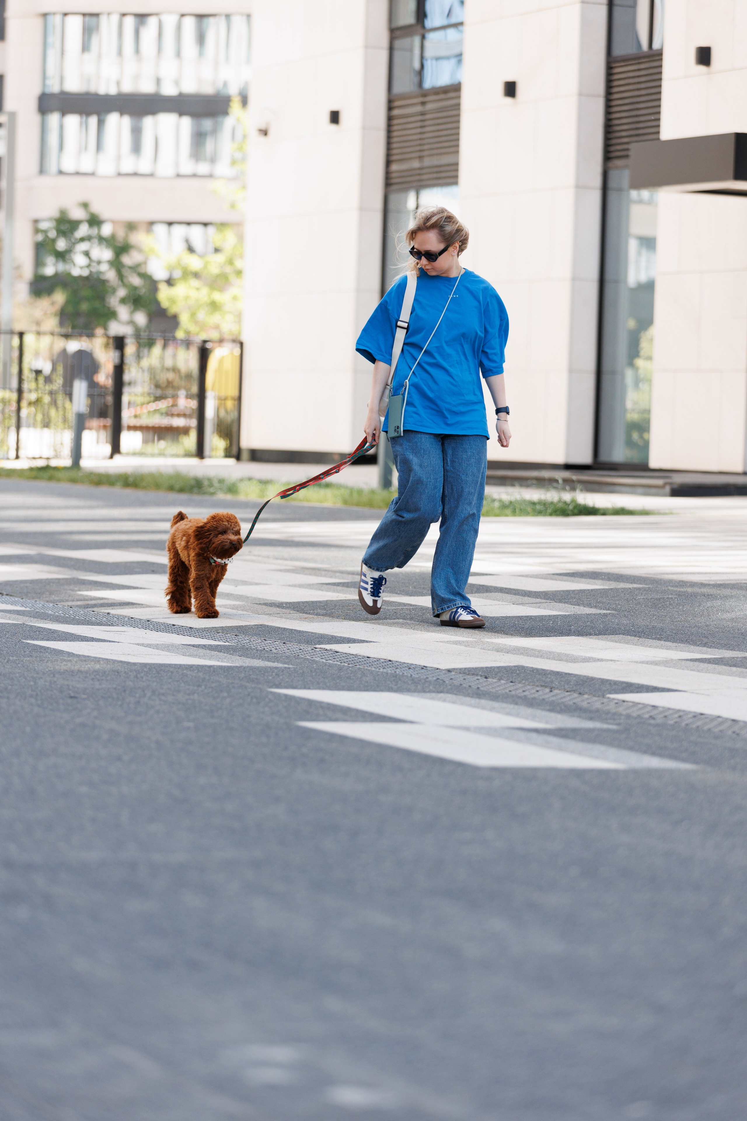 Bmbh городская. Фотограф анималист Кристина Карпова, Москва