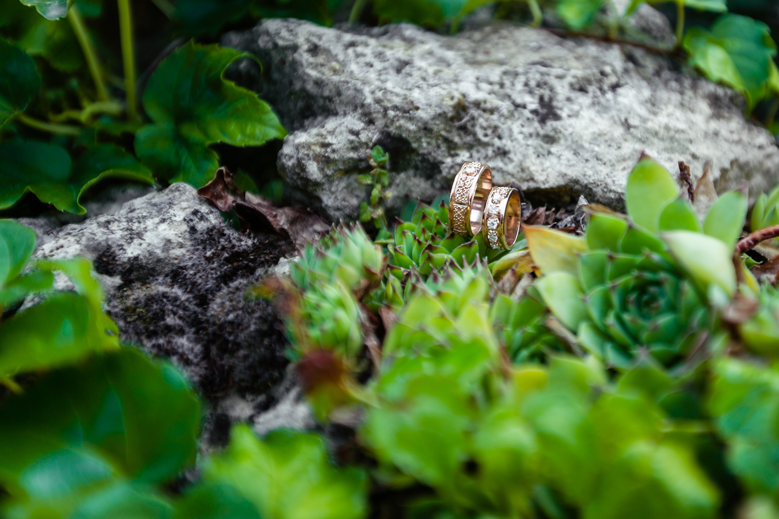 Свадьба в Крыму. Никита и Кристина. Свадебный фотограф в Крыму и Севастополе Ольга Баскакова