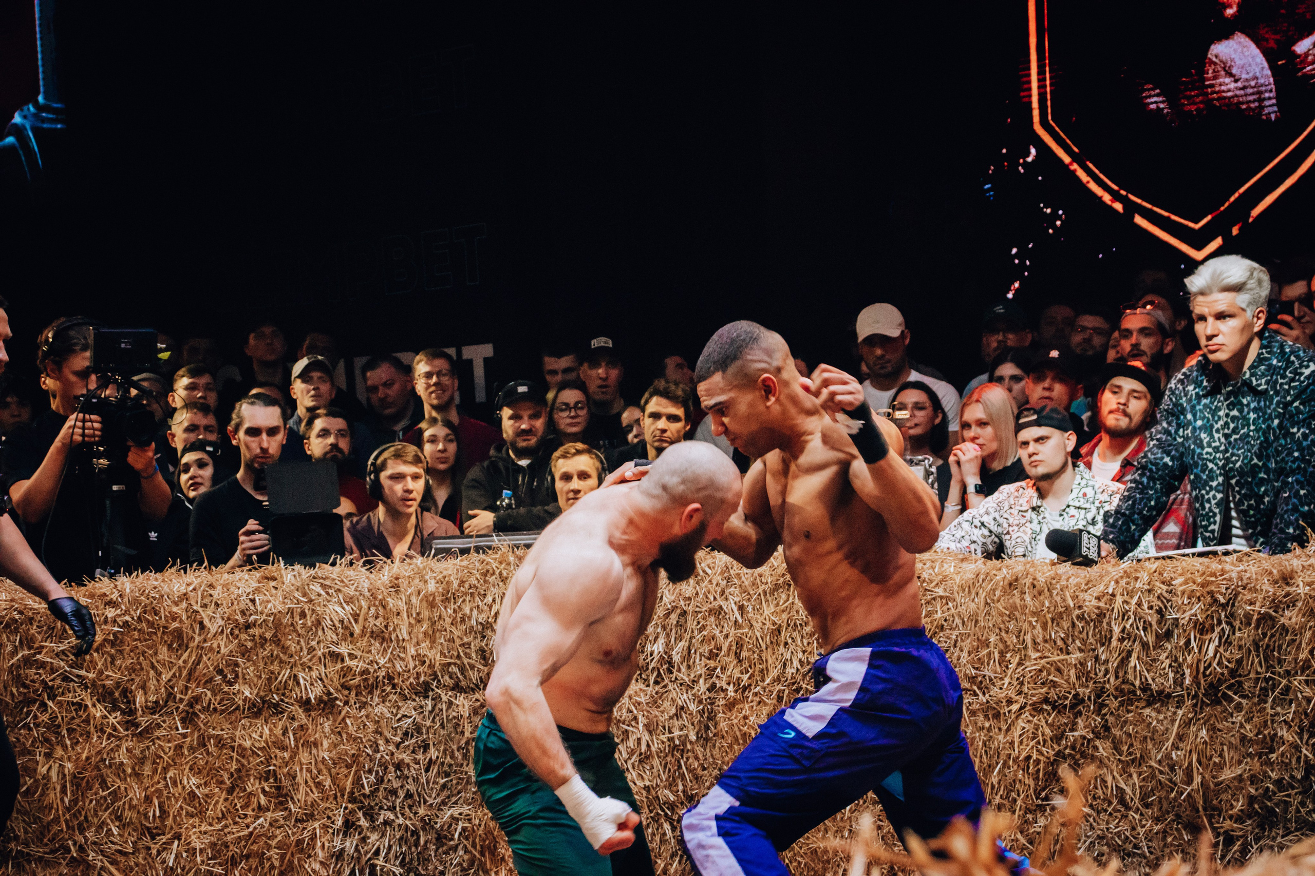 Кулачные бои TopDog. Анастасия Тен