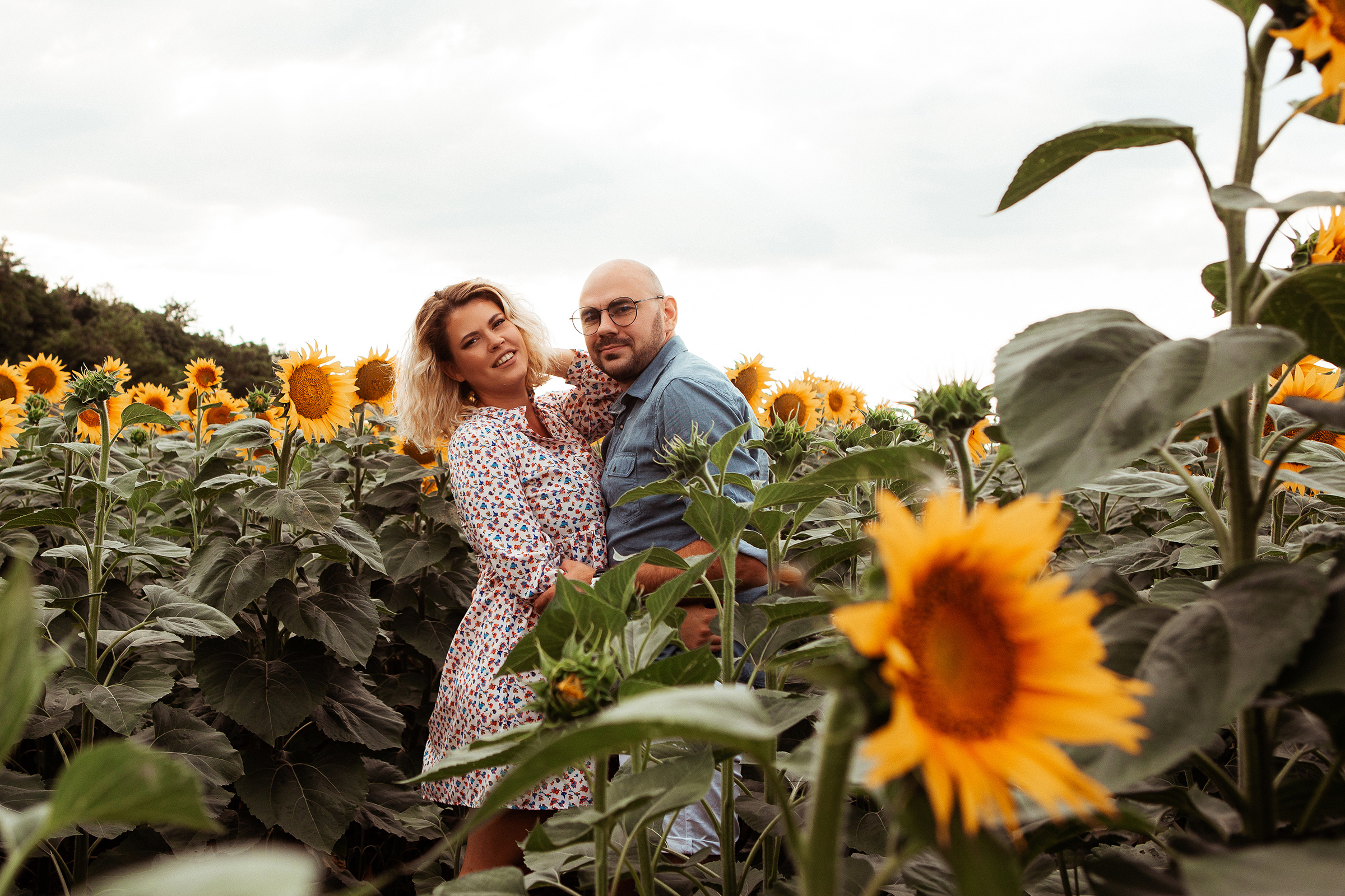 Подсолнухи любви. Семейный фотограф, свадебный фотограф, детский фотограф в Краснодаре А