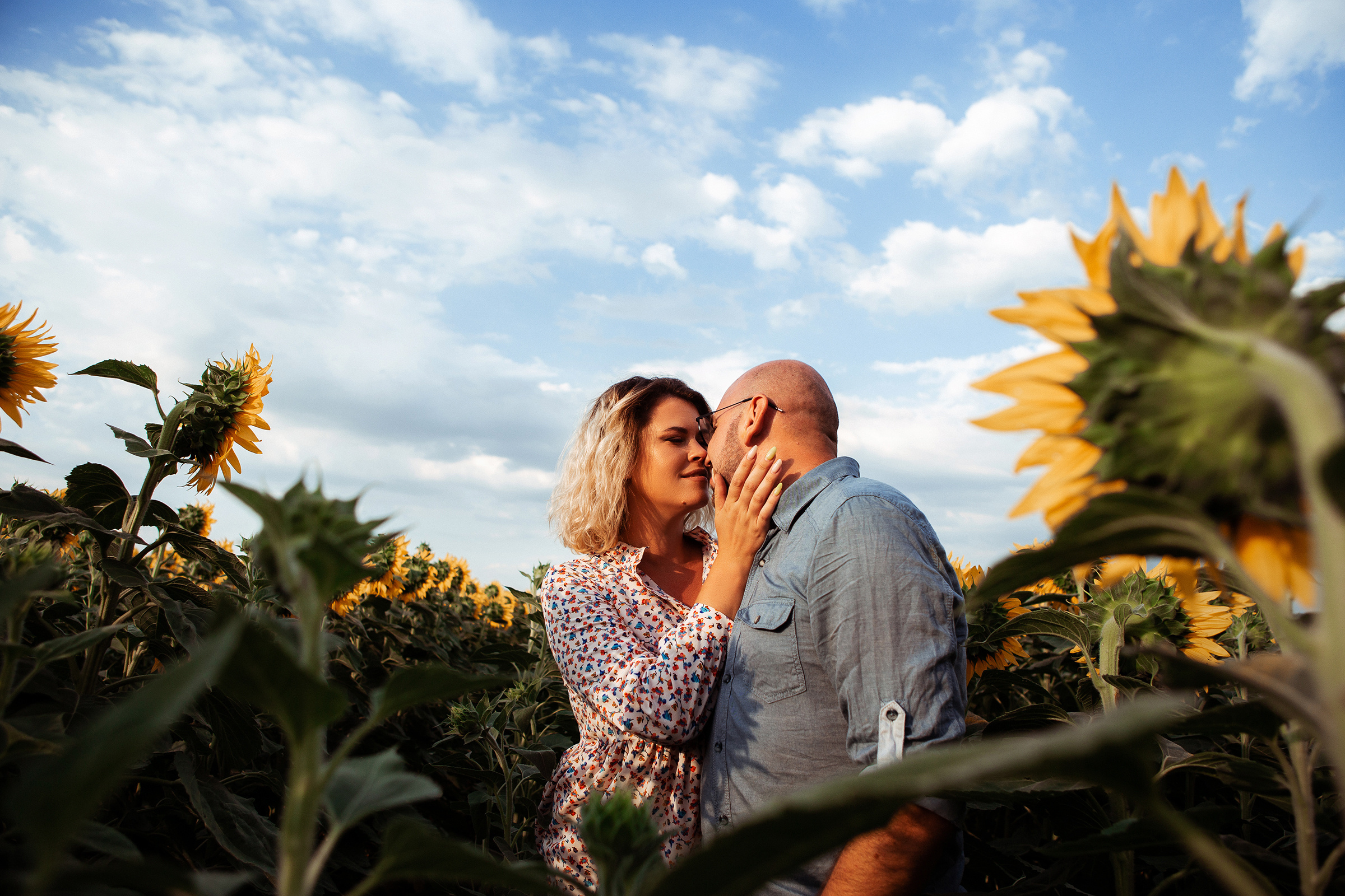 Подсолнухи любви. Семейный фотограф, свадебный фотограф, детский фотограф в Краснодаре А