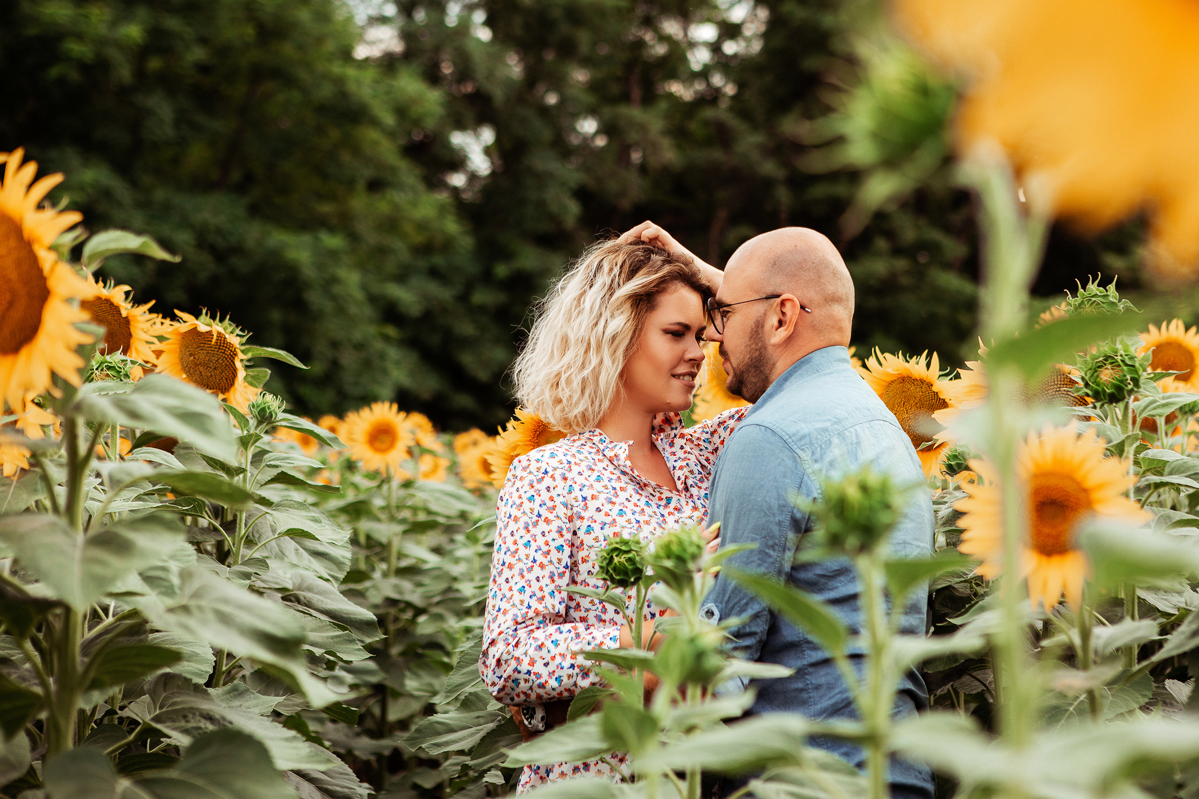 Подсолнухи любви. Семейный фотограф, свадебный фотограф, детский фотограф в Краснодаре А