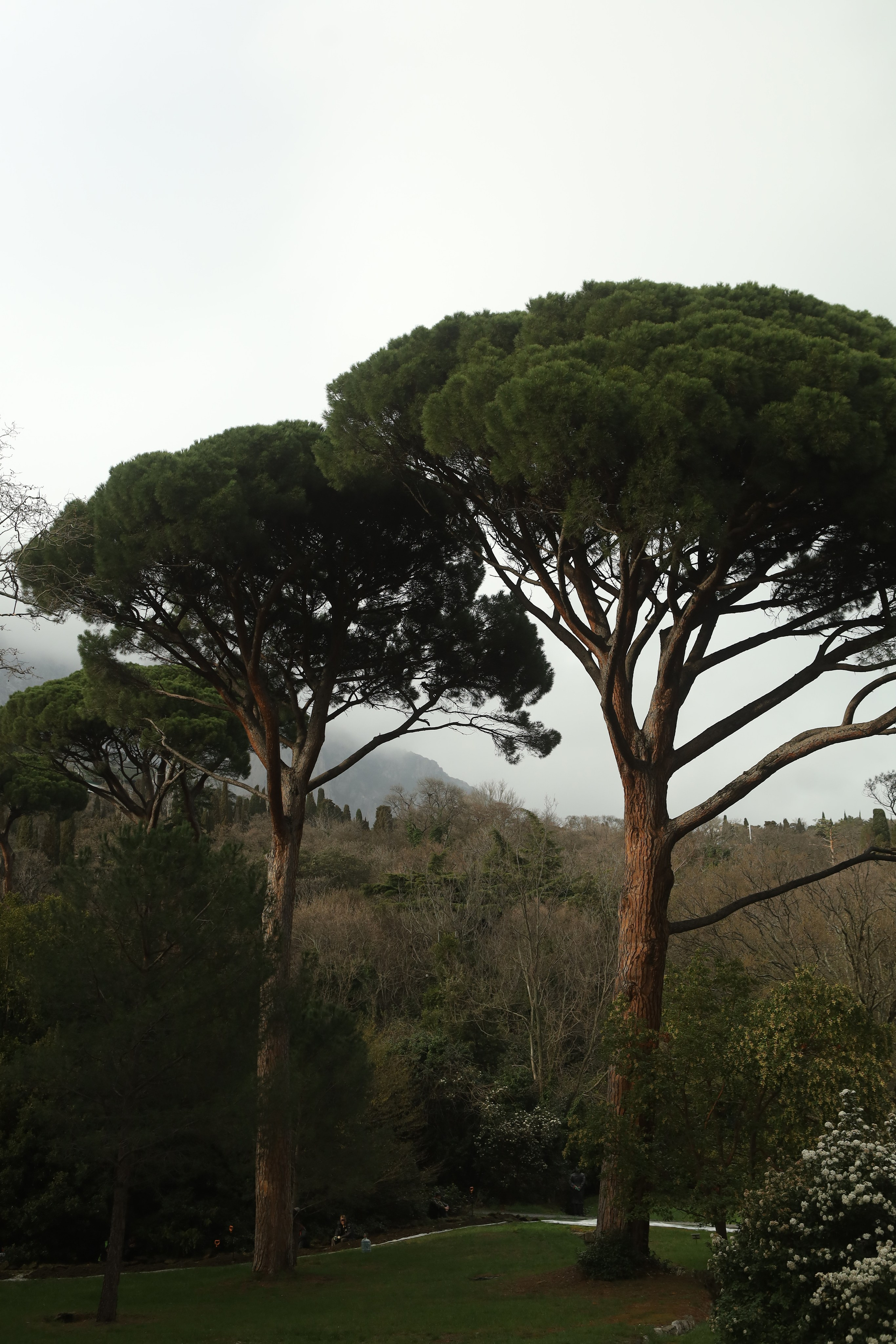 One fine day. Свадебный фотограф в Крыму Майя Гурина