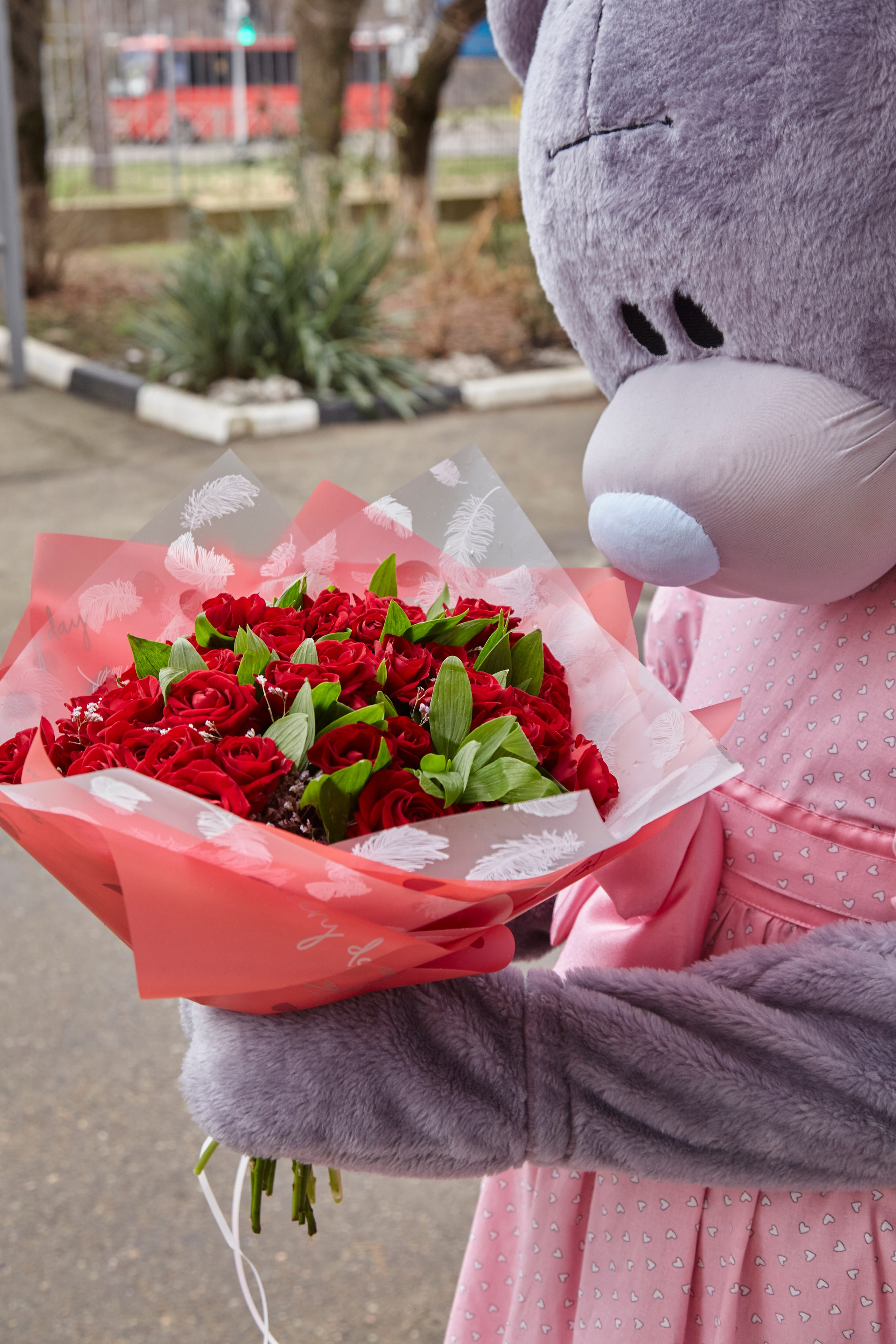 МИШКА ТЕДДИ. Свадебный и семейный фотограф/видеограф в Краснодаре Наталья Осинская