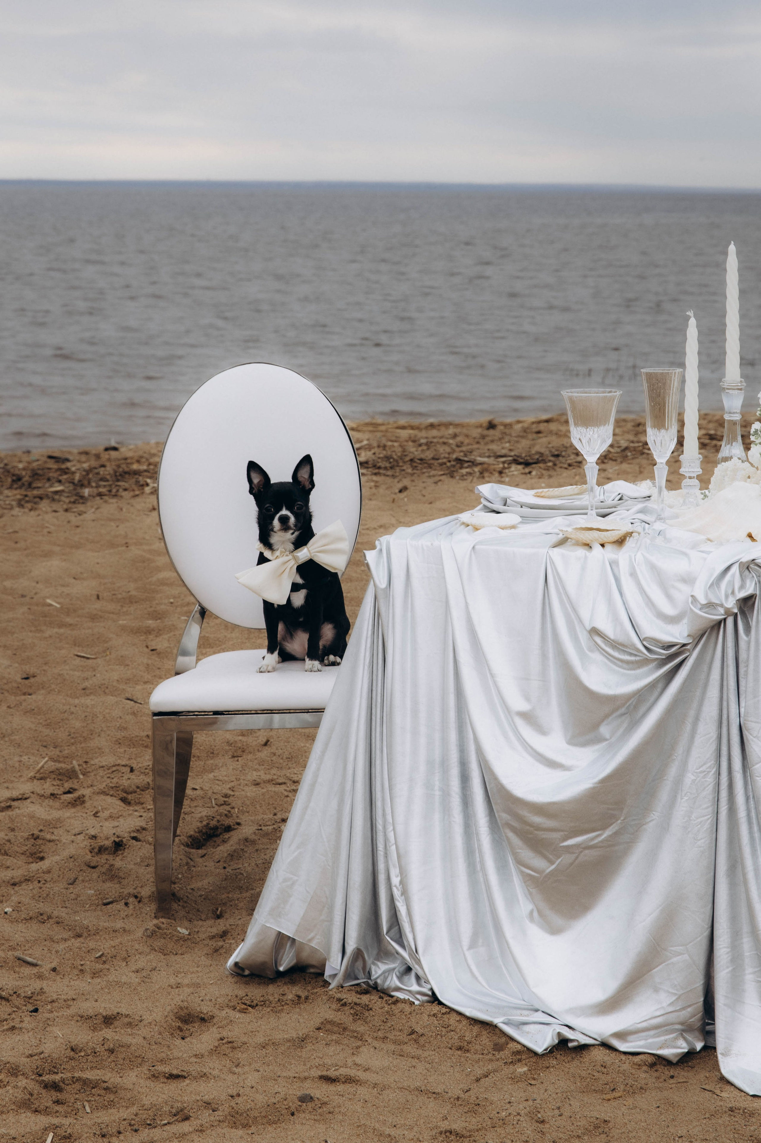 Александр и Полина. Свадебное агентство Amorewed Agency