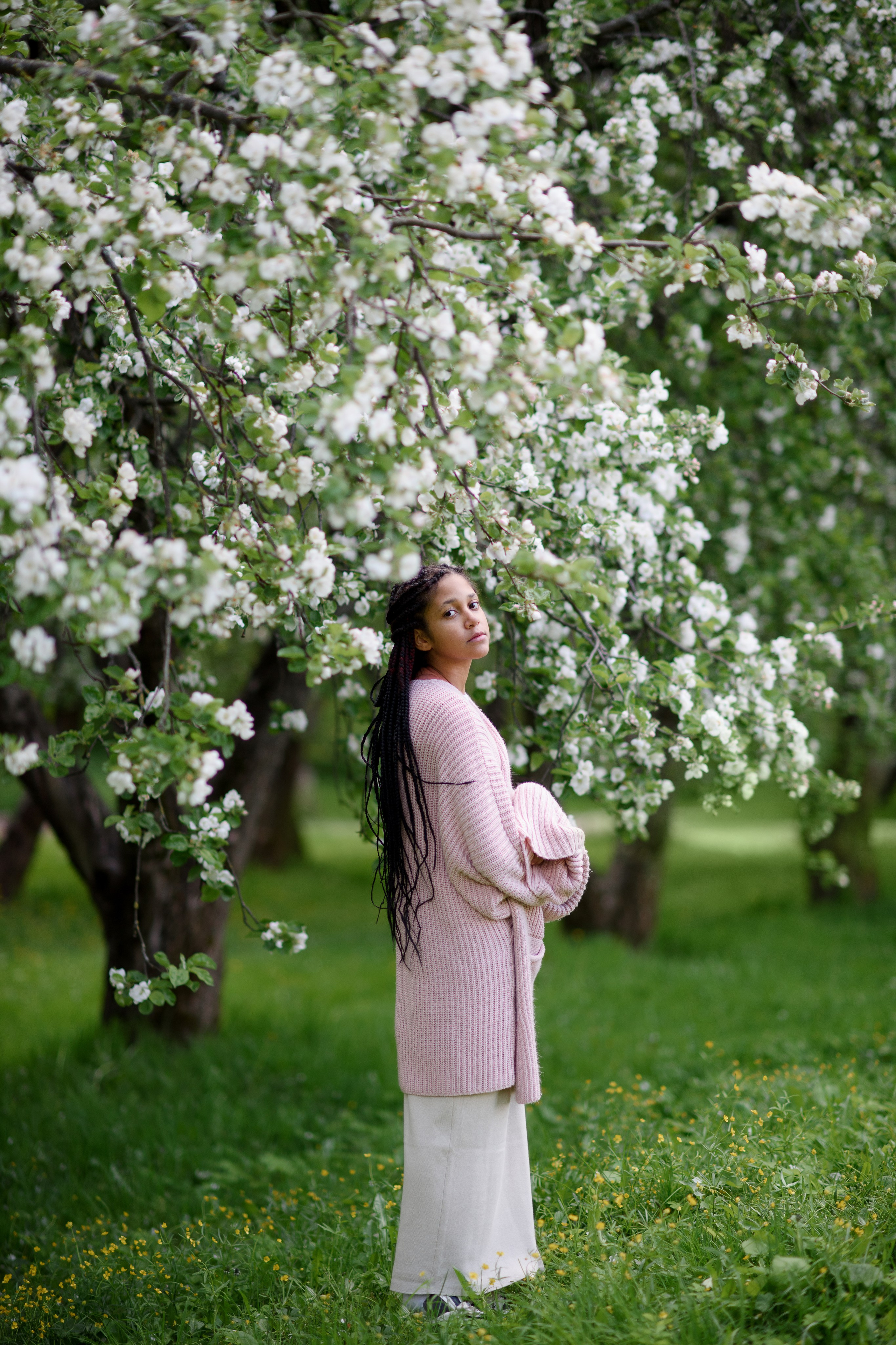 Яблони в Коломенском. Ясмина. Главная